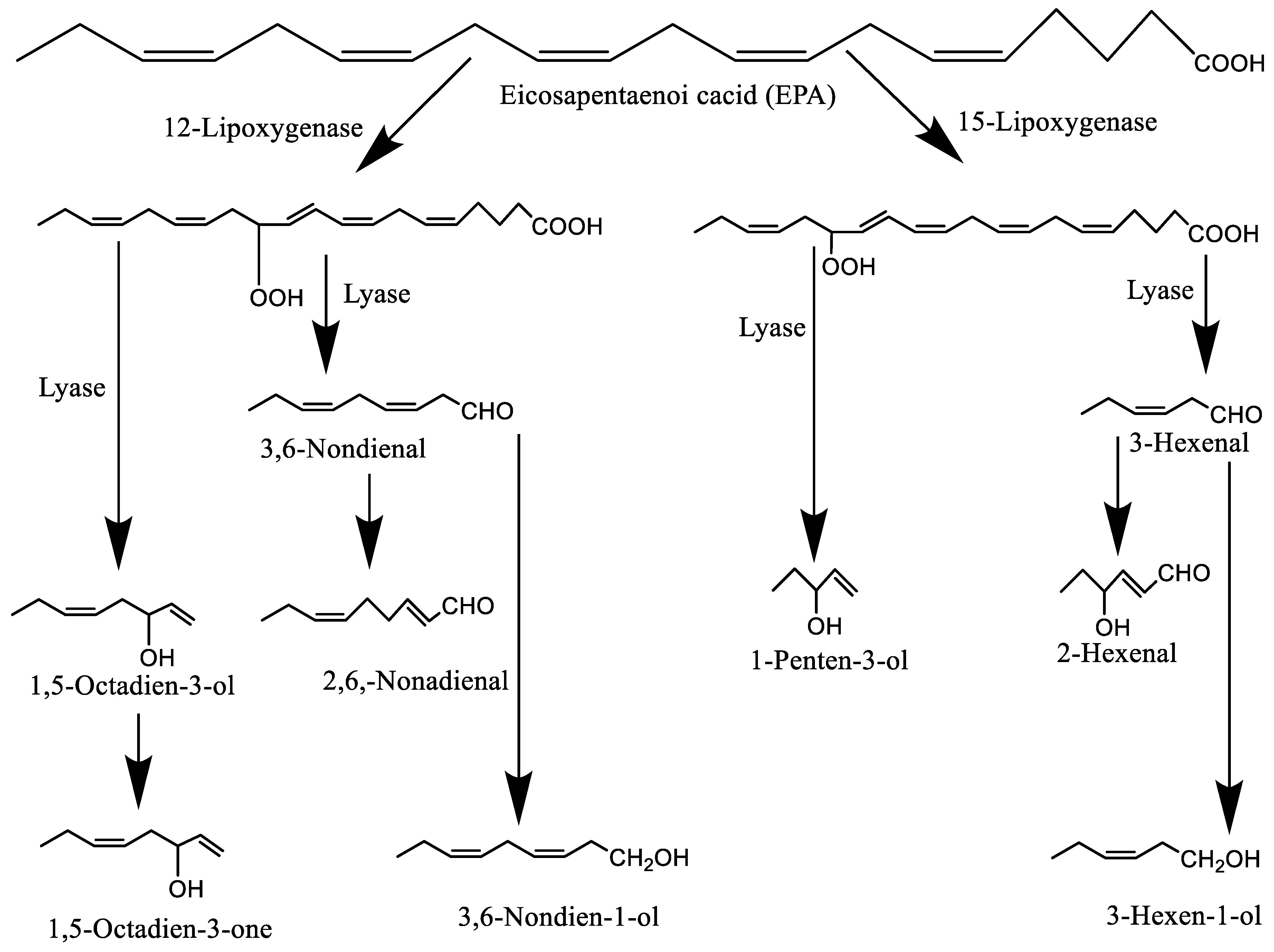 Molecules 27 05014 g004