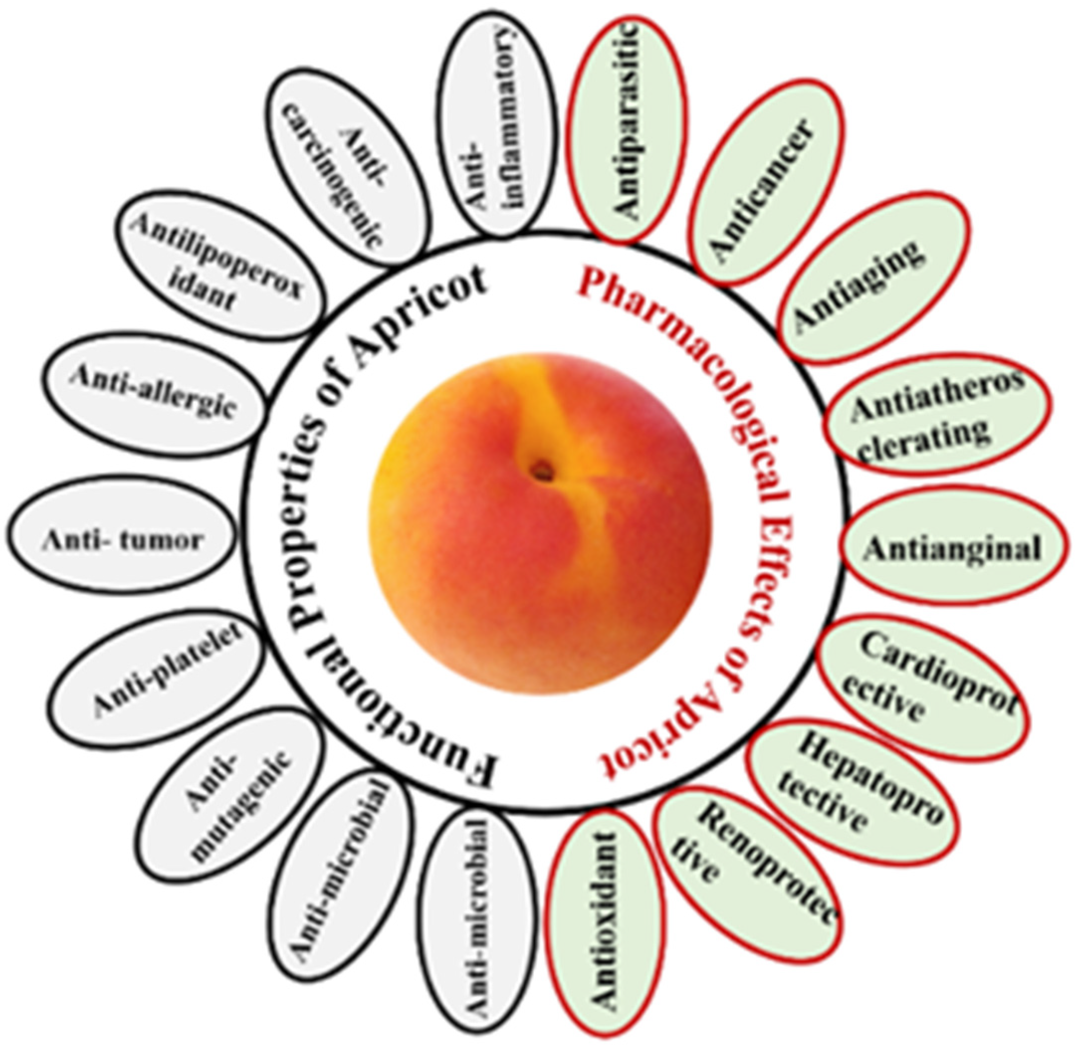 Molecules 27 05016 g005