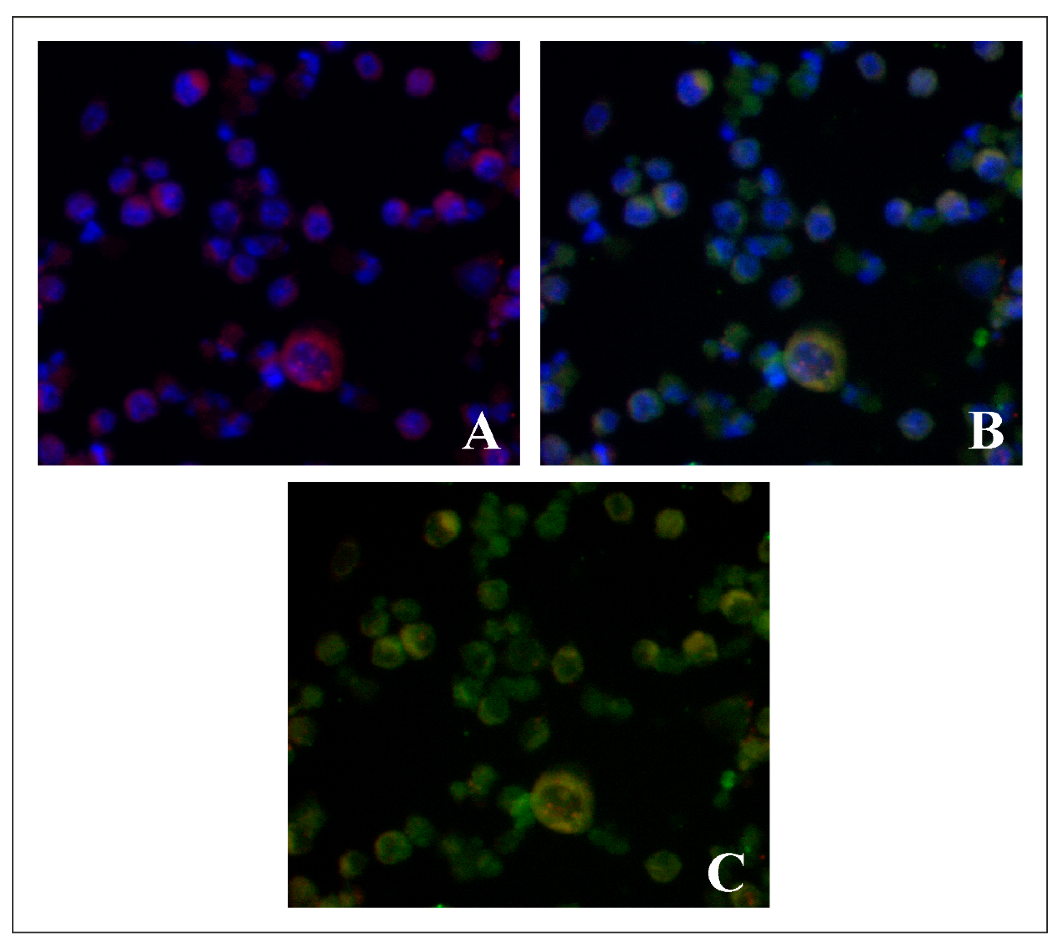 Molecules 27 05018 g009