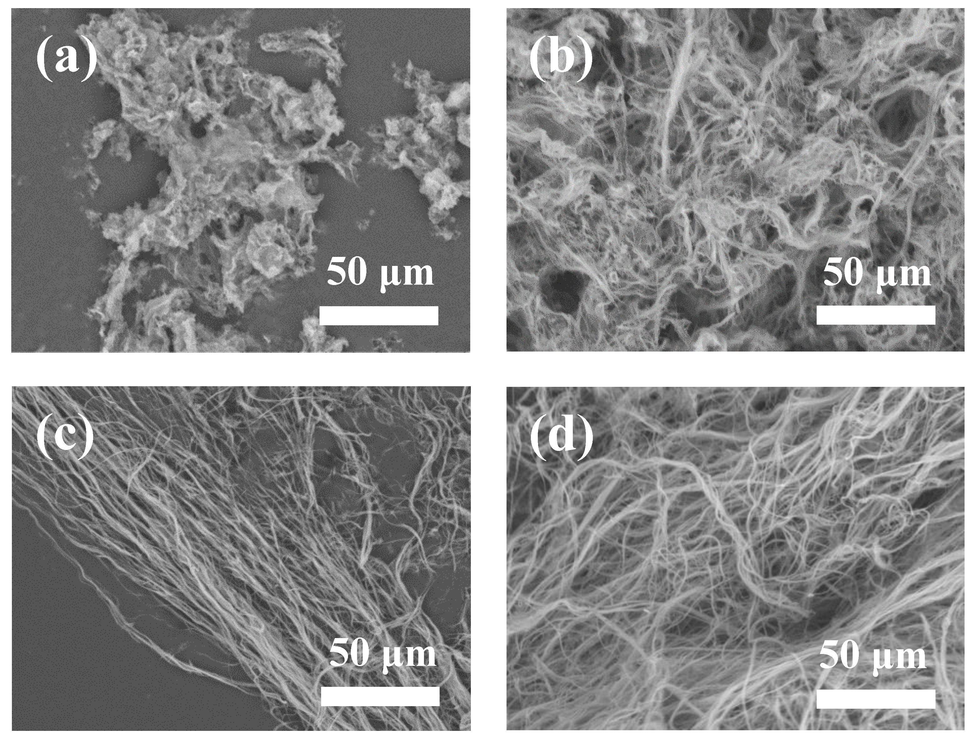 Molecules 27 05020 g005