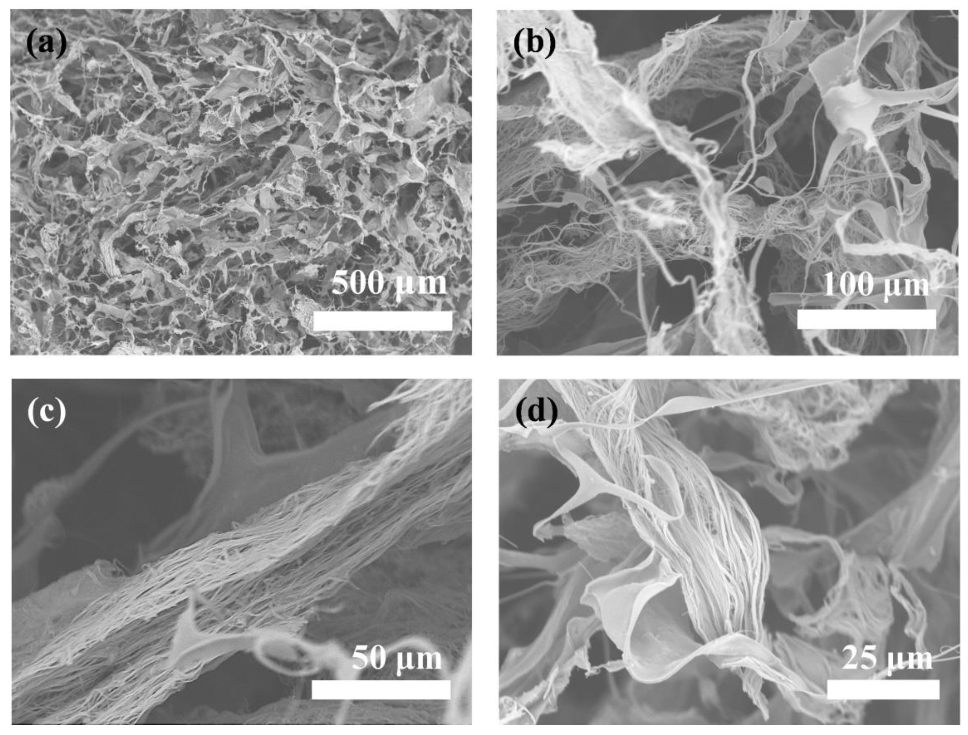 Molecules 27 05020 g010