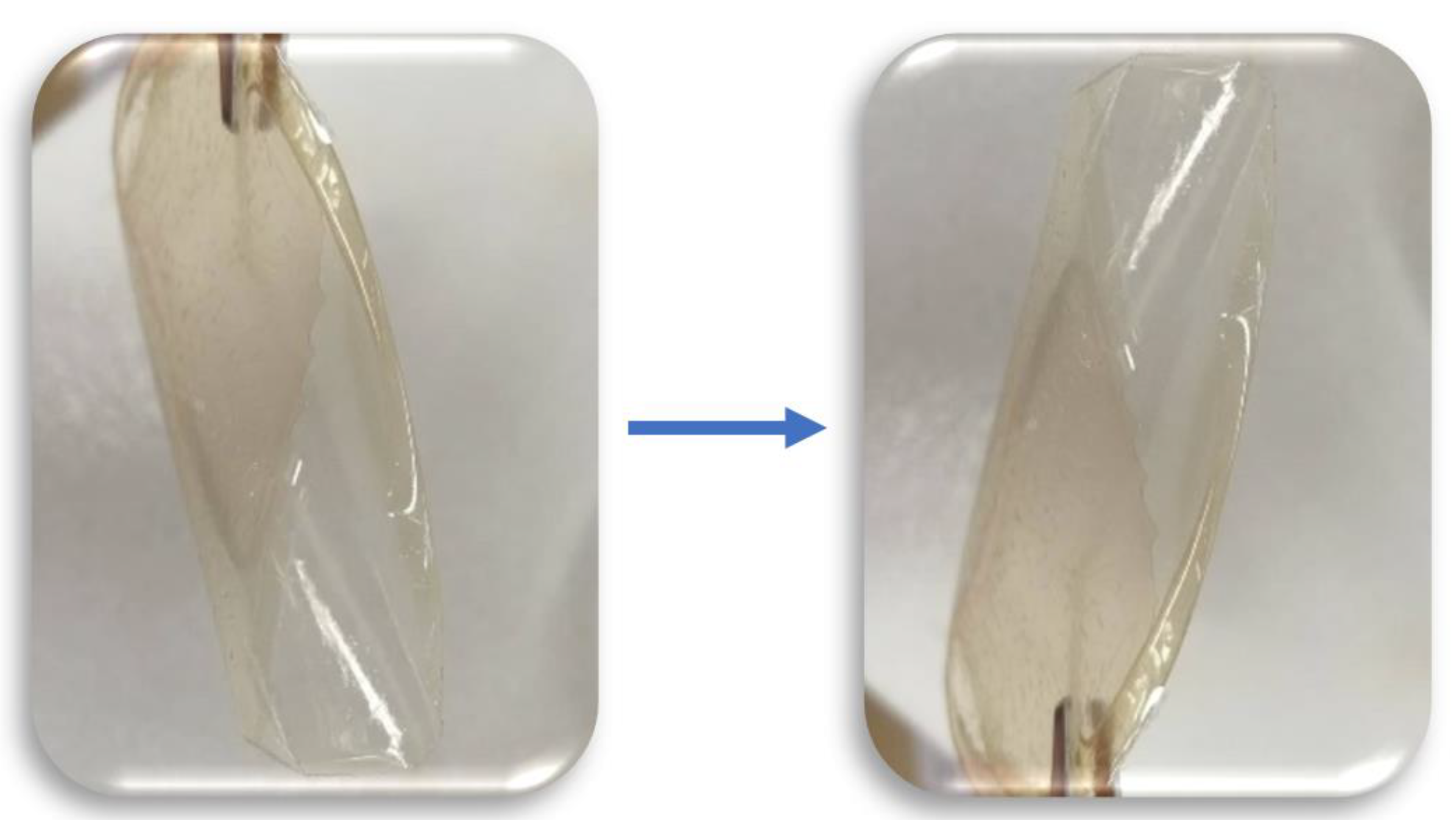 Molecules 27 05026 g013