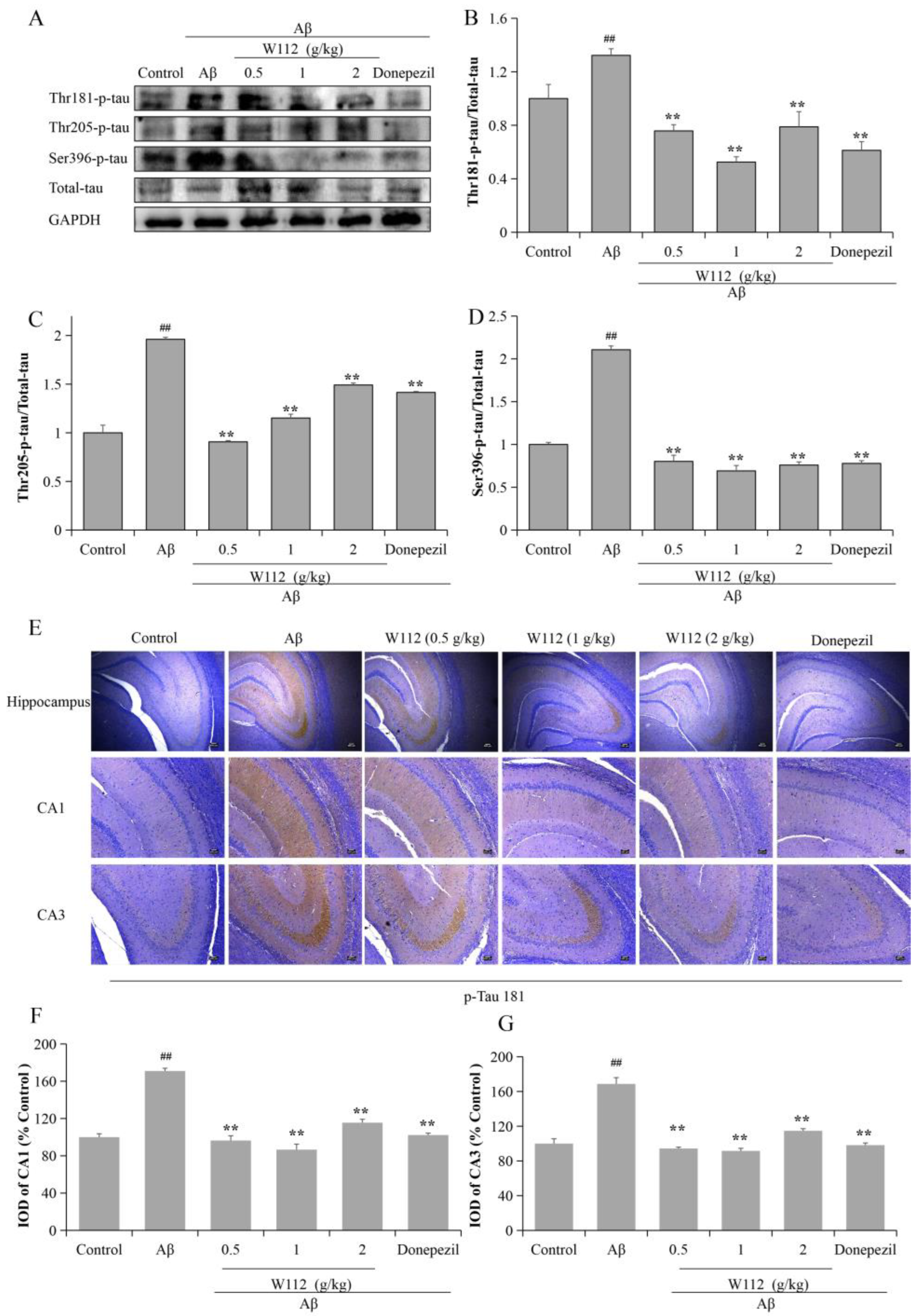 Molecules 27 05035 g004