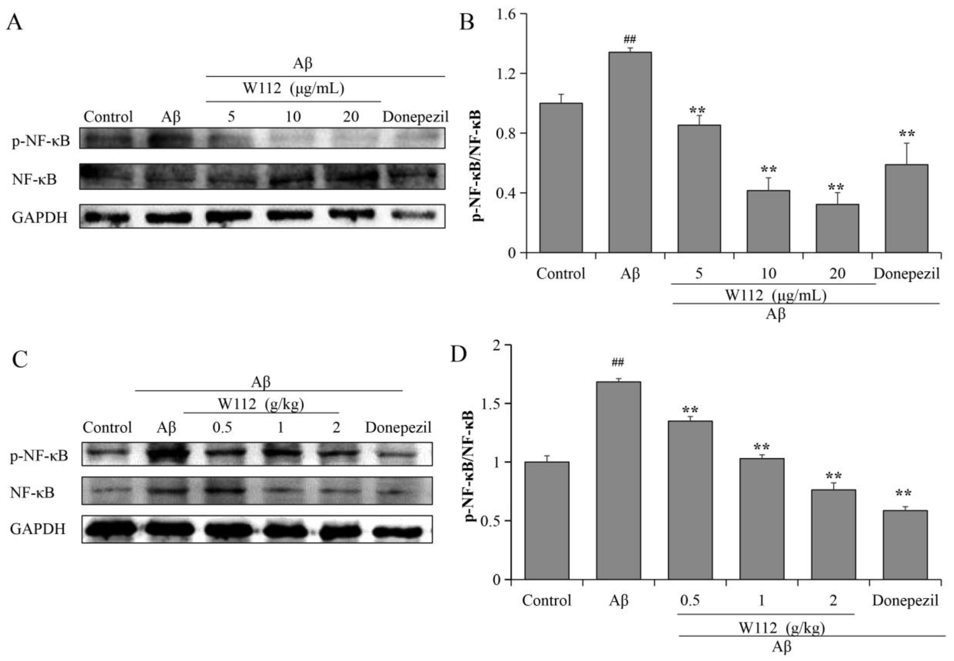 Molecules 27 05035 g006