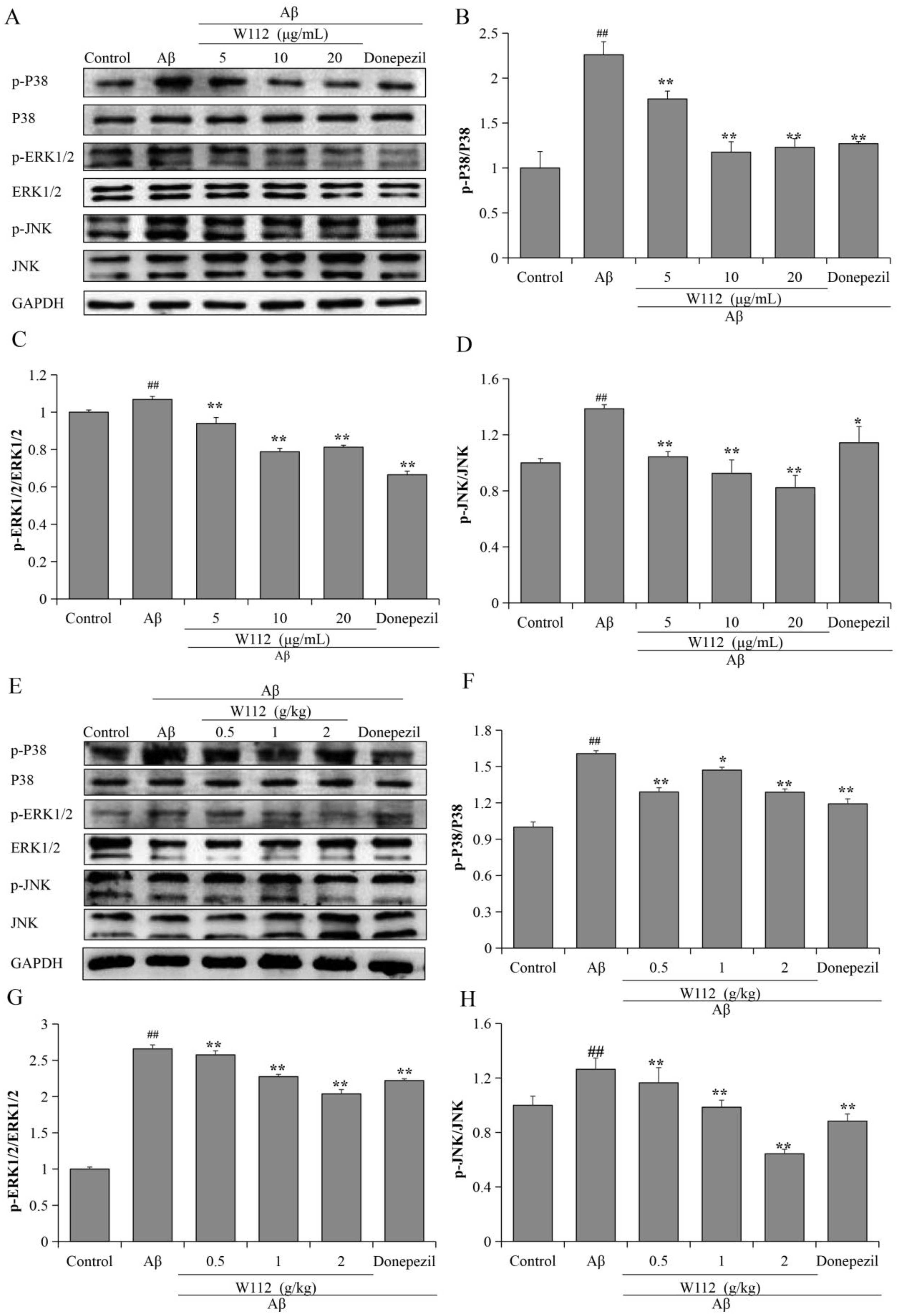 Molecules 27 05035 g007