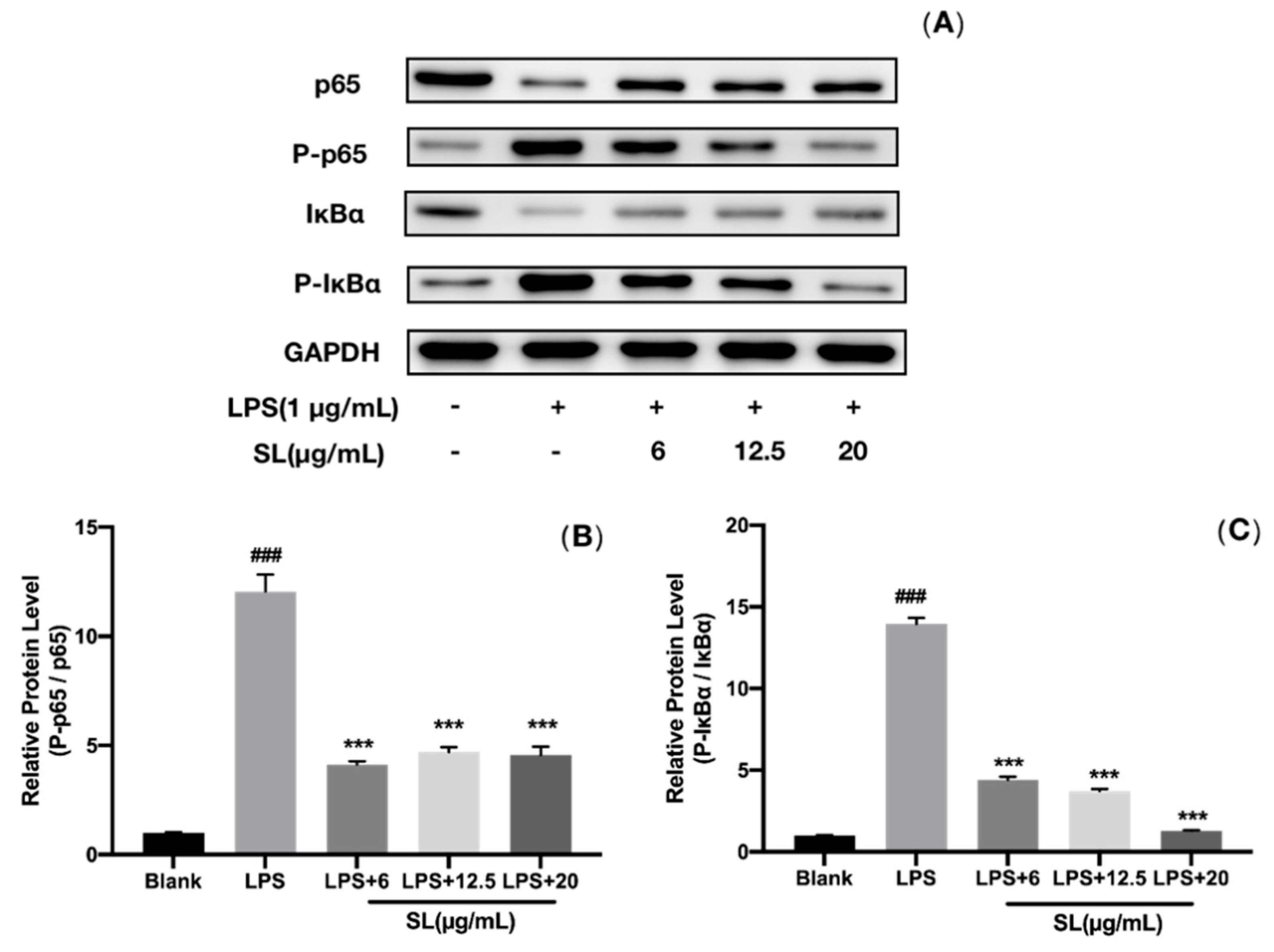 Molecules 27 05037 g007