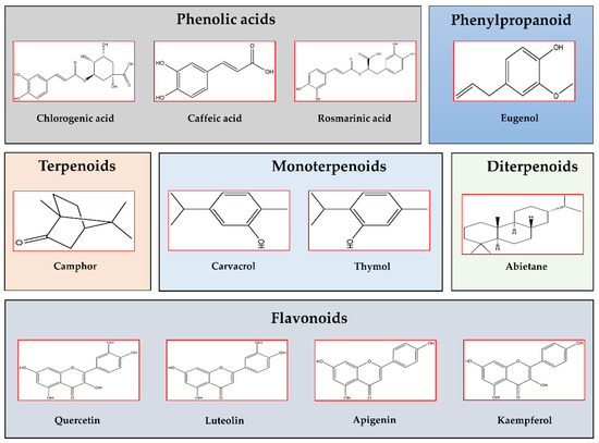 Molecules 27 05043 g002