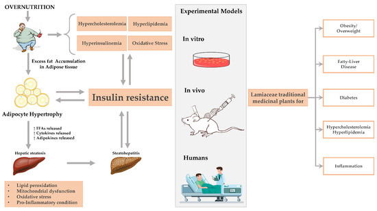 Molecules 27 05043 g004