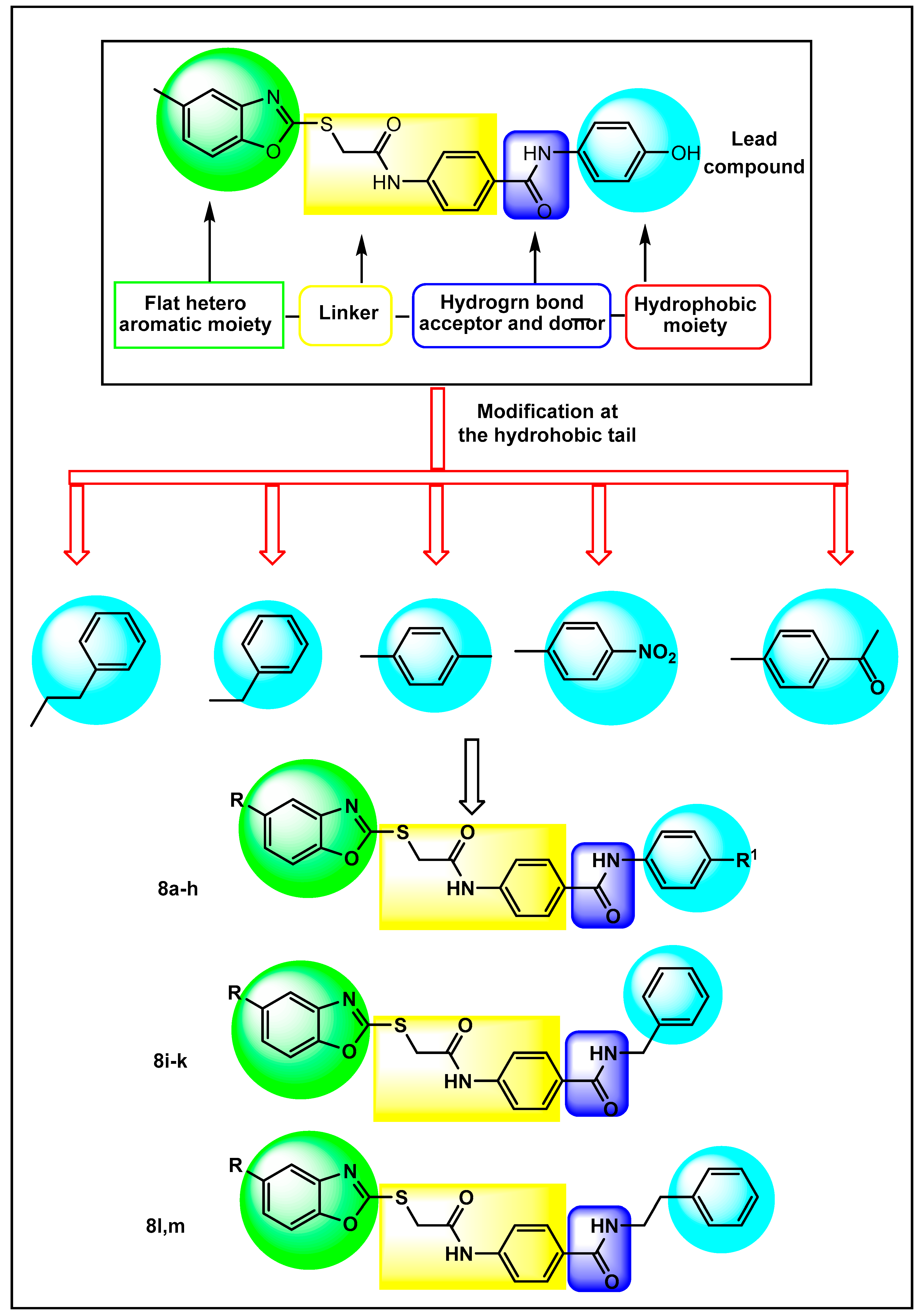 Molecules 27 05047 g003