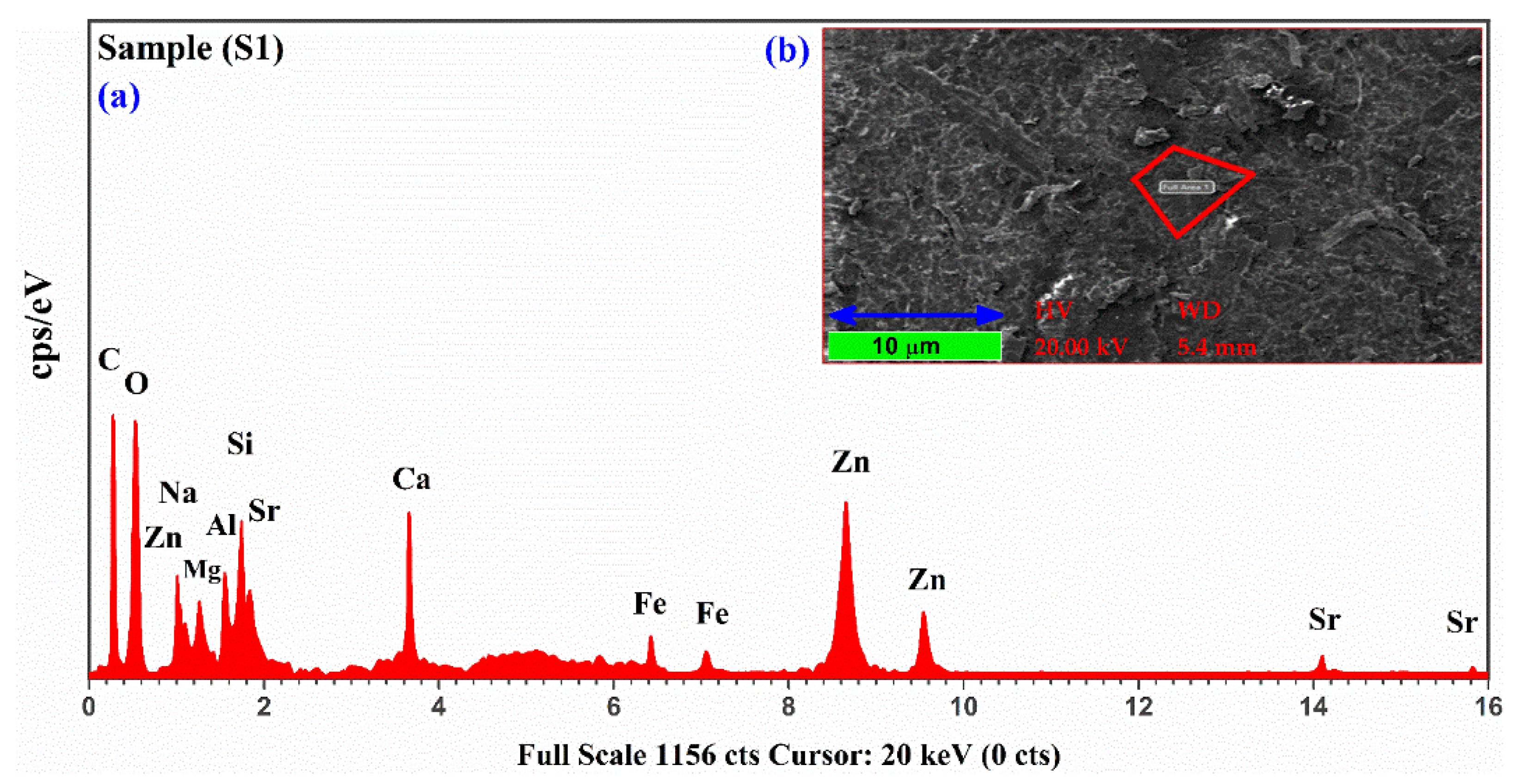Molecules 27 05048 g008