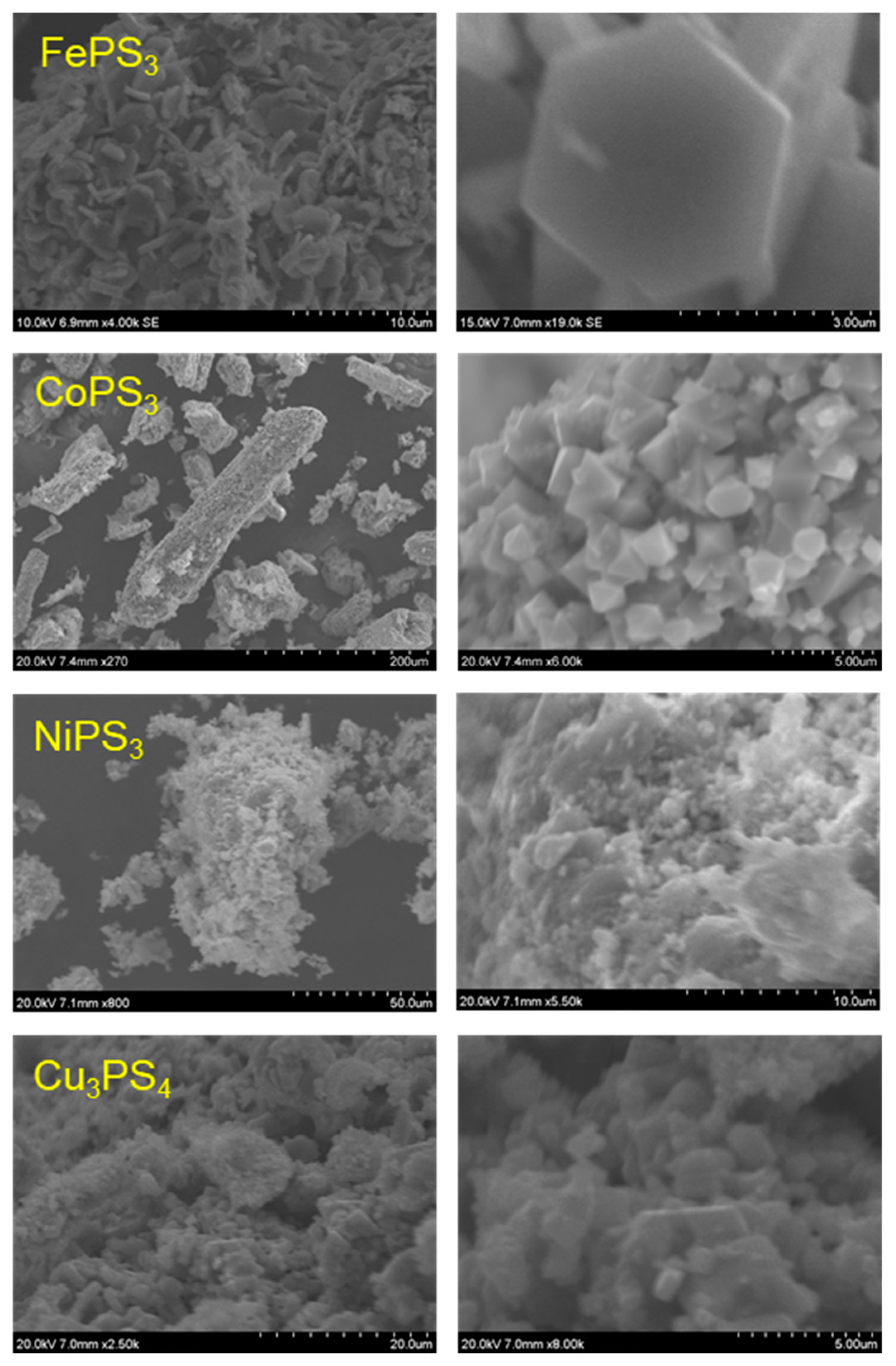 Molecules 27 05053 g004 Molecules 27 05053 g004