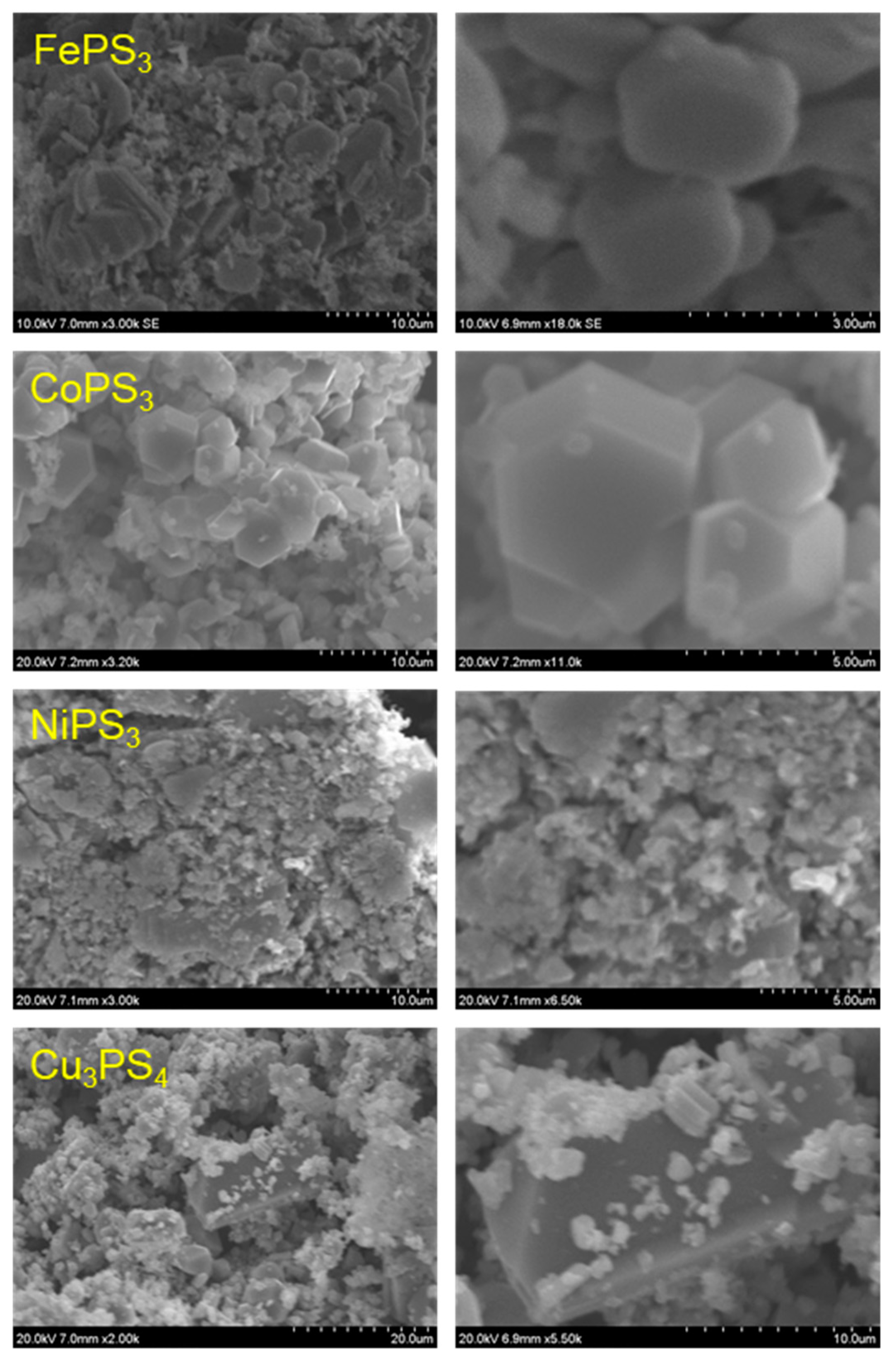 Molecules 27 05053 g005 Molecules 27 05053 g005