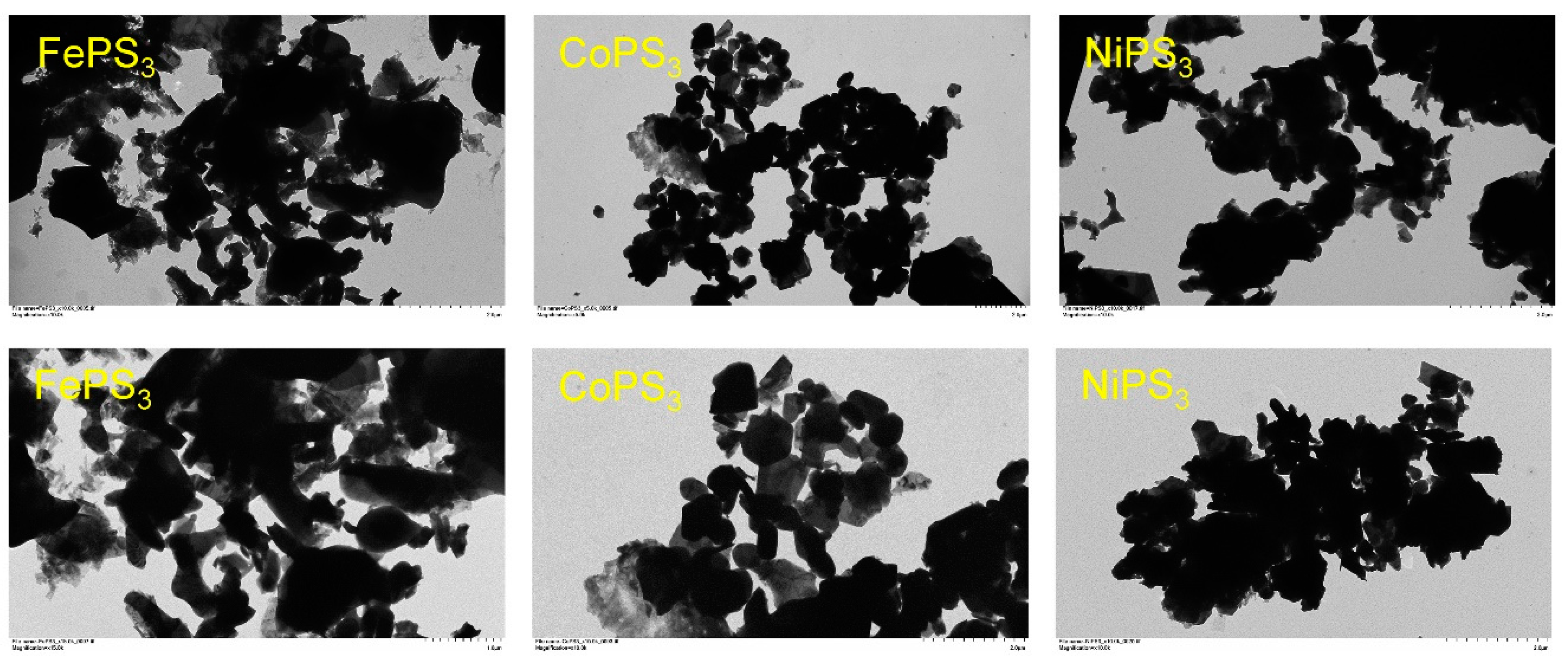Molecules 27 05053 g006 Molecules 27 05053 g006