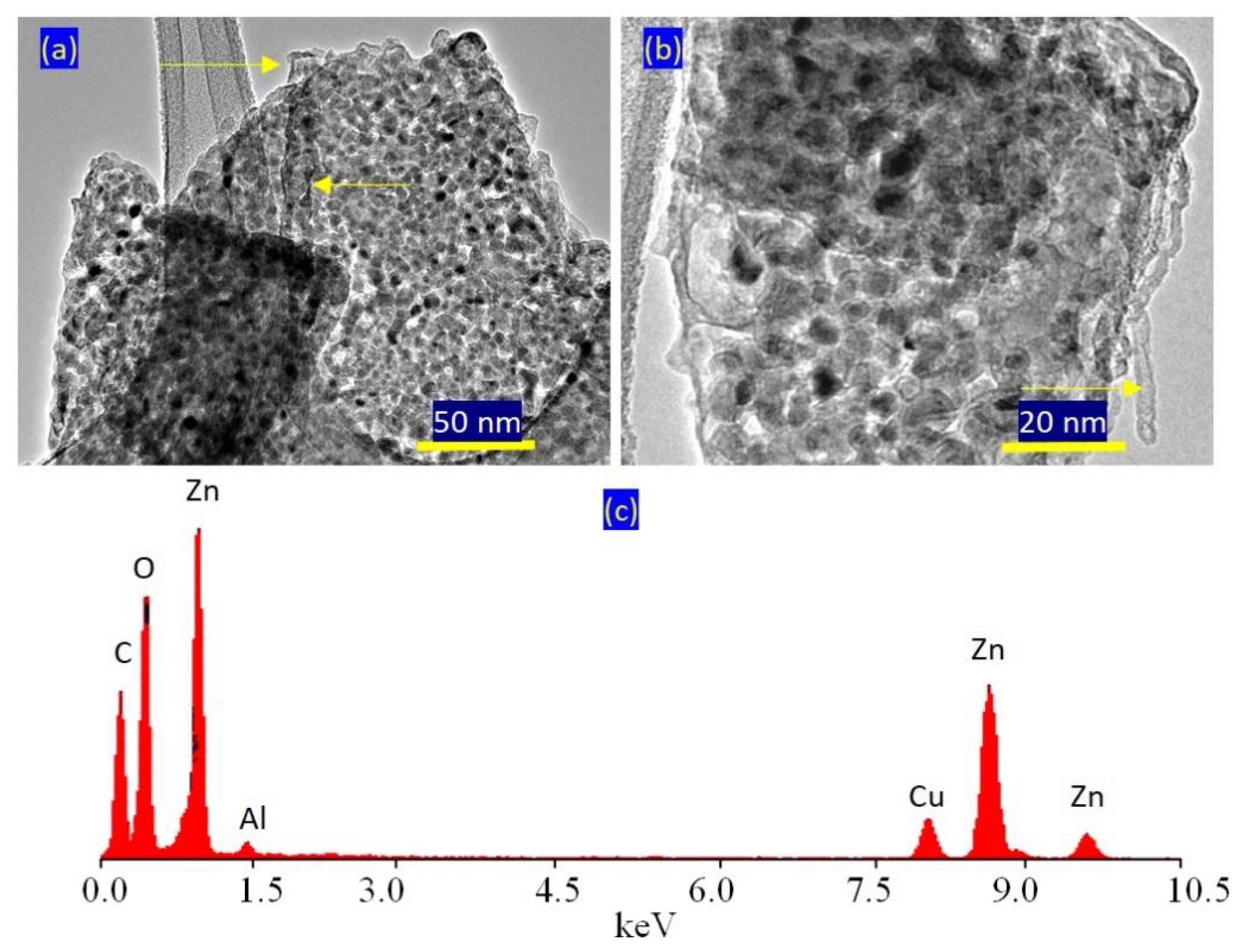 Molecules 27 05054 g006