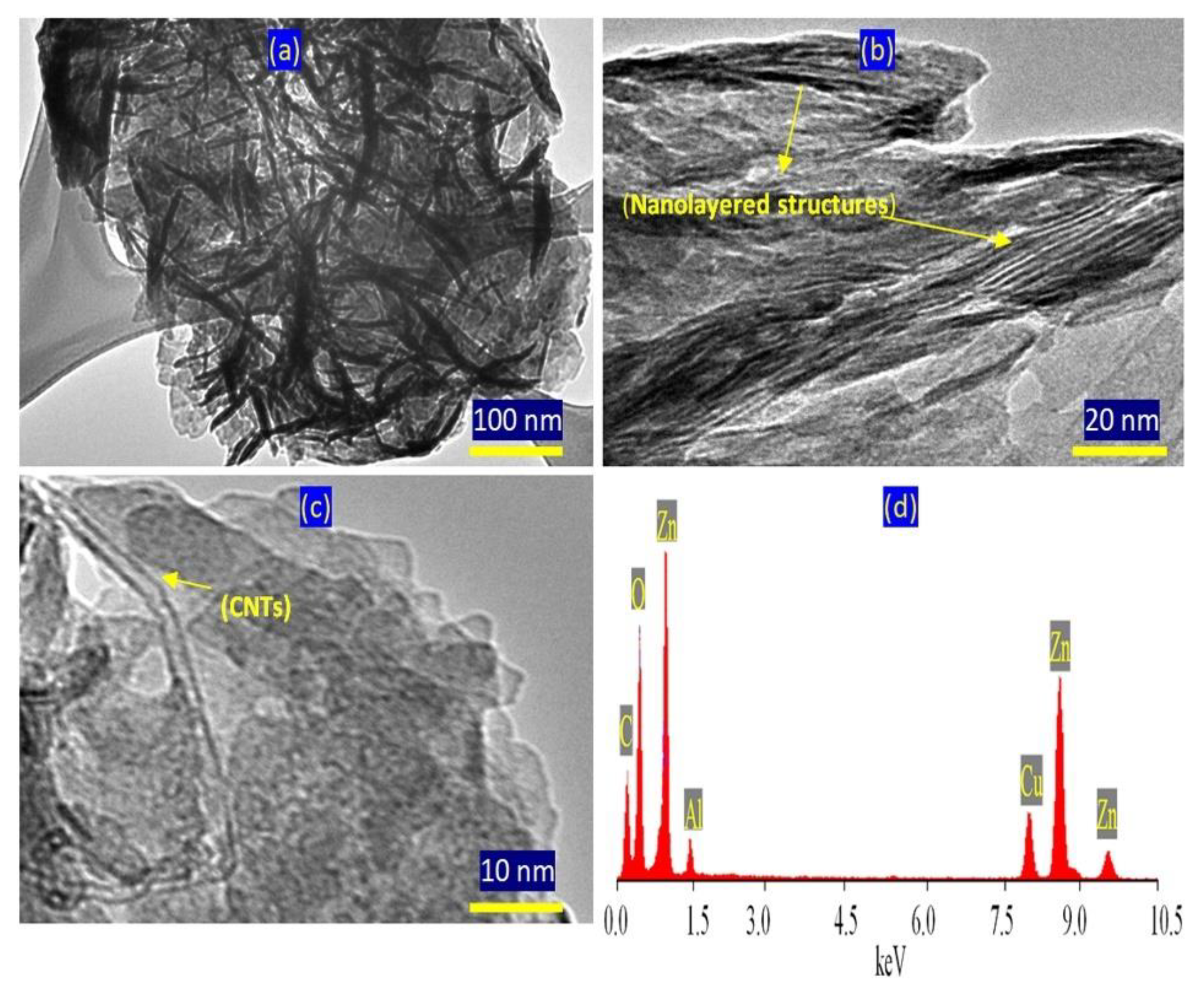 Molecules 27 05054 g009