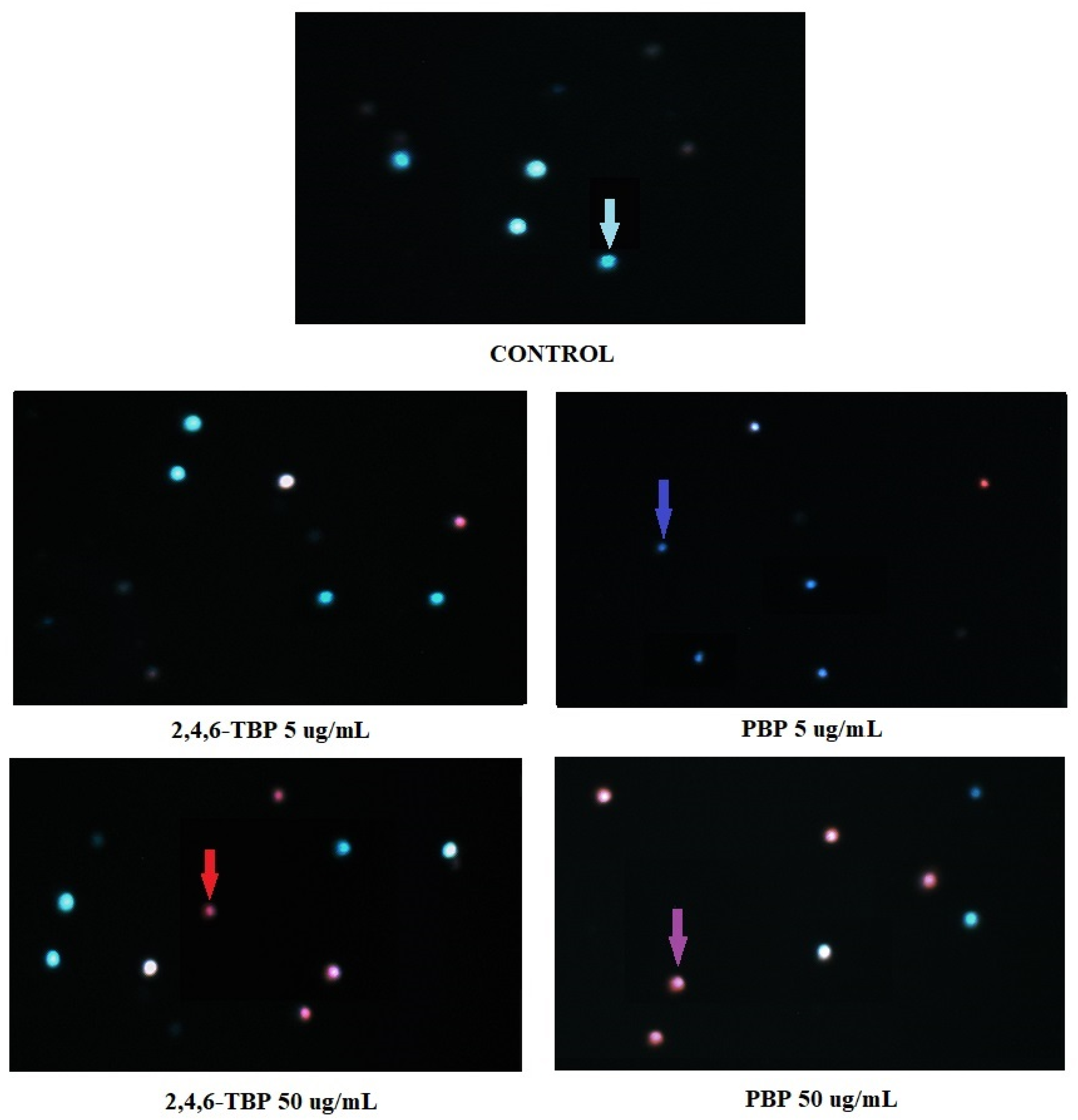 Molecules 27 05056 g006