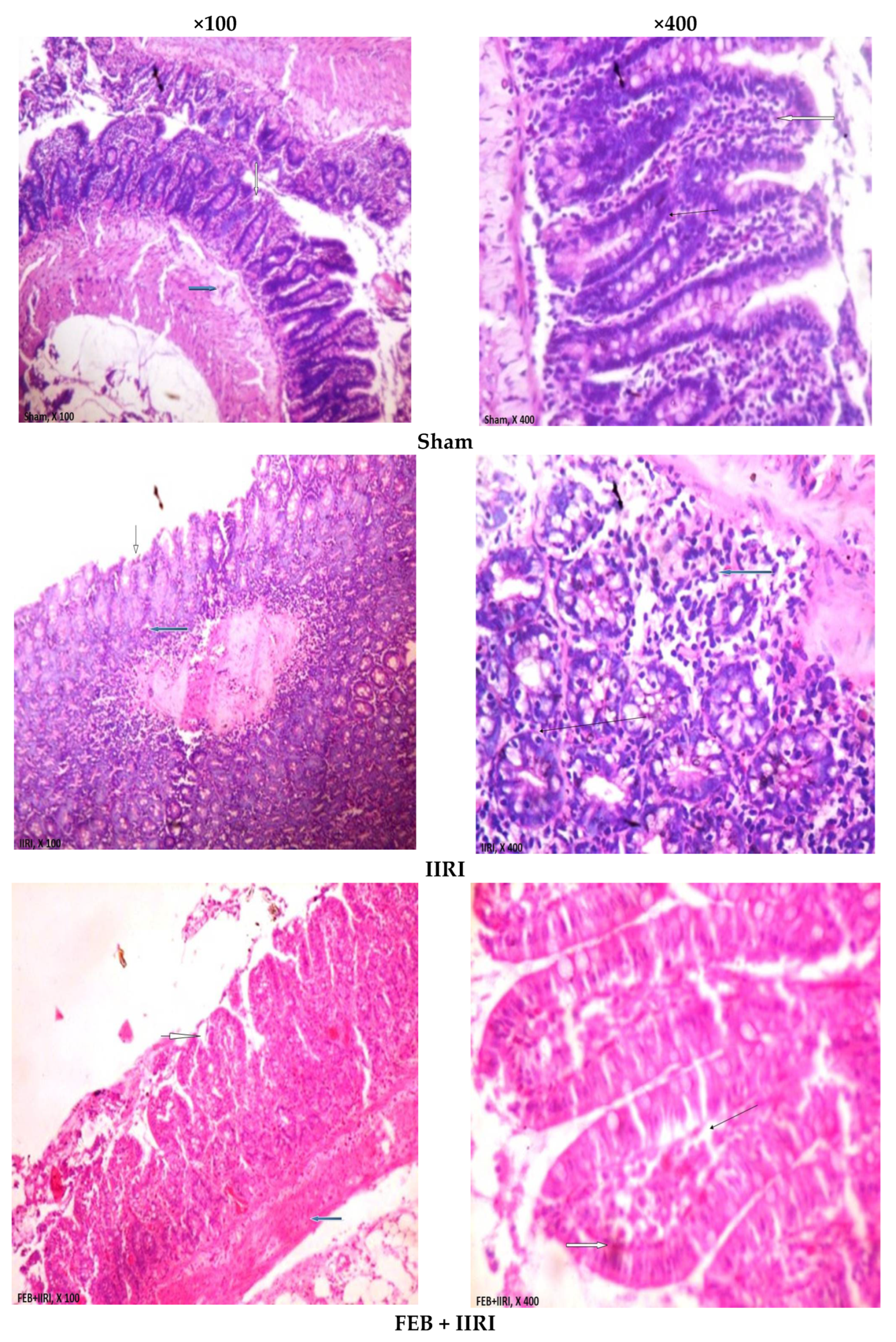 Molecules 27 05073 g005a