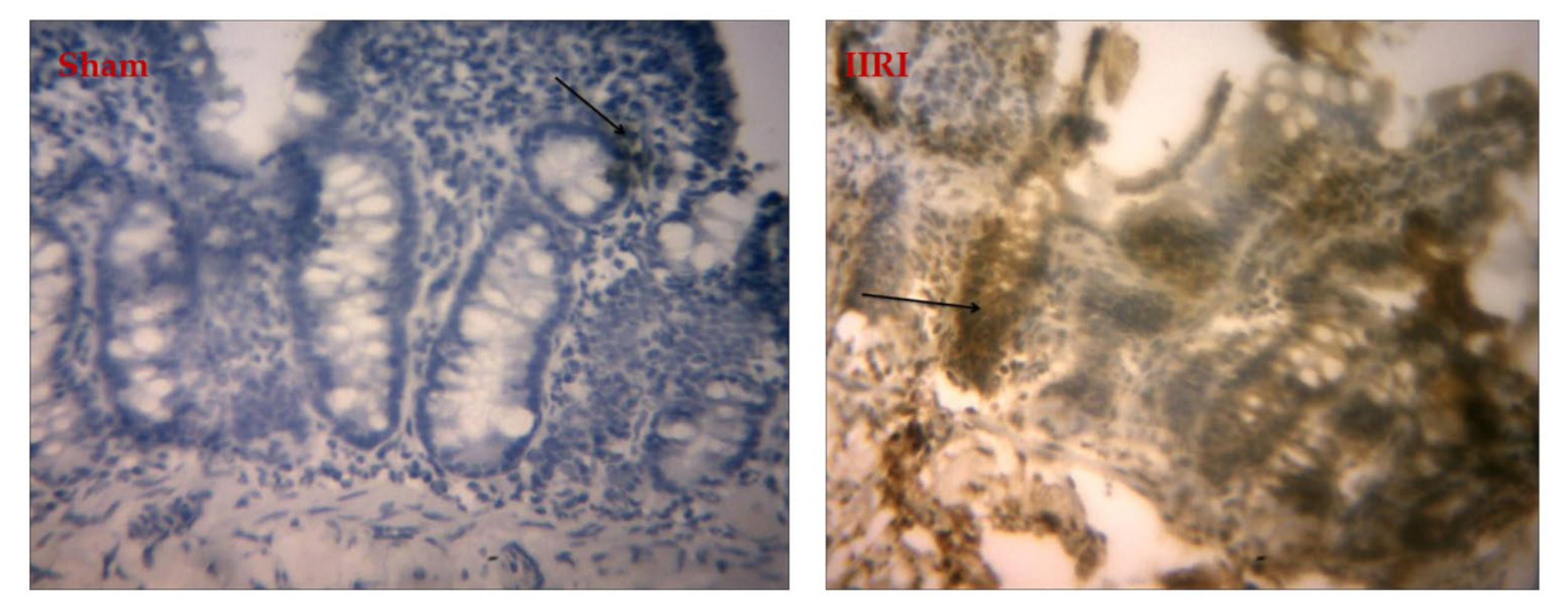 Molecules 27 05073 g009a