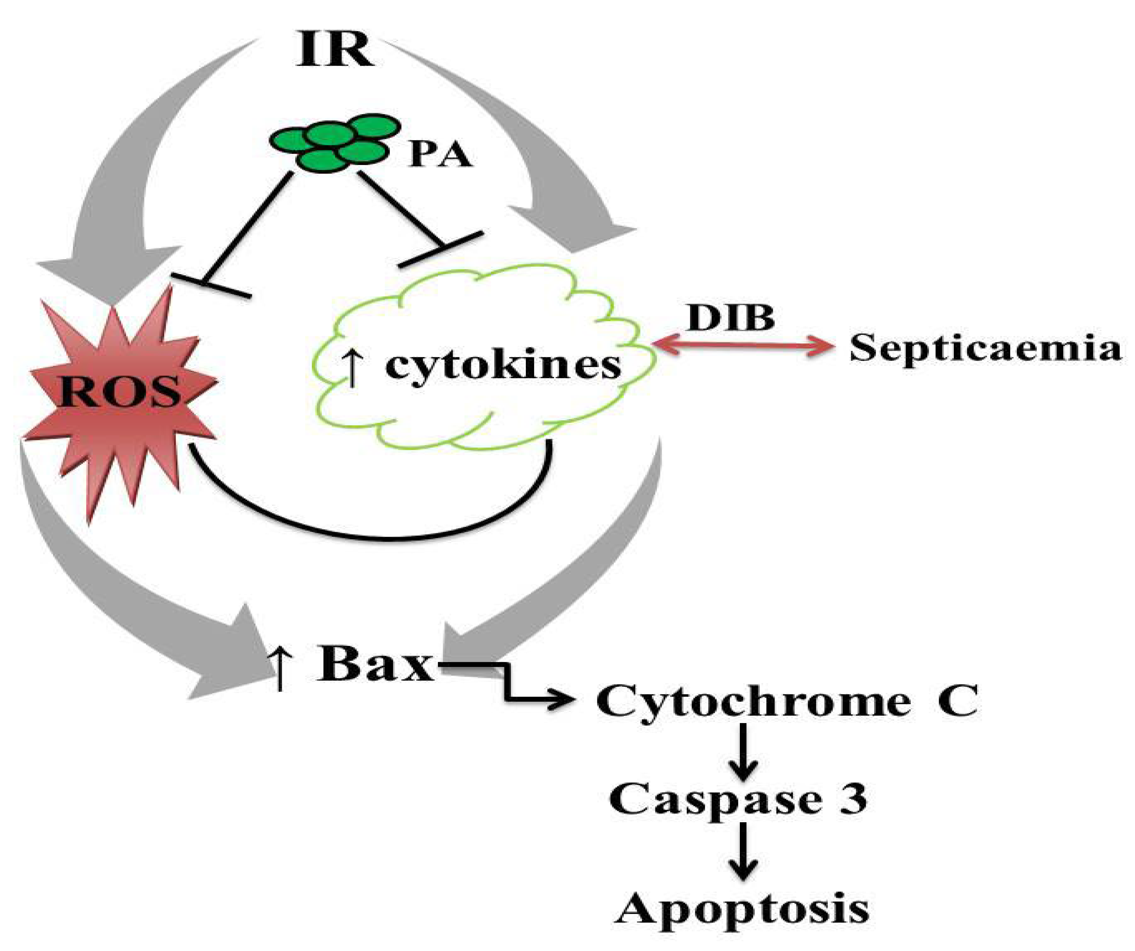 Molecules 27 05073 g011