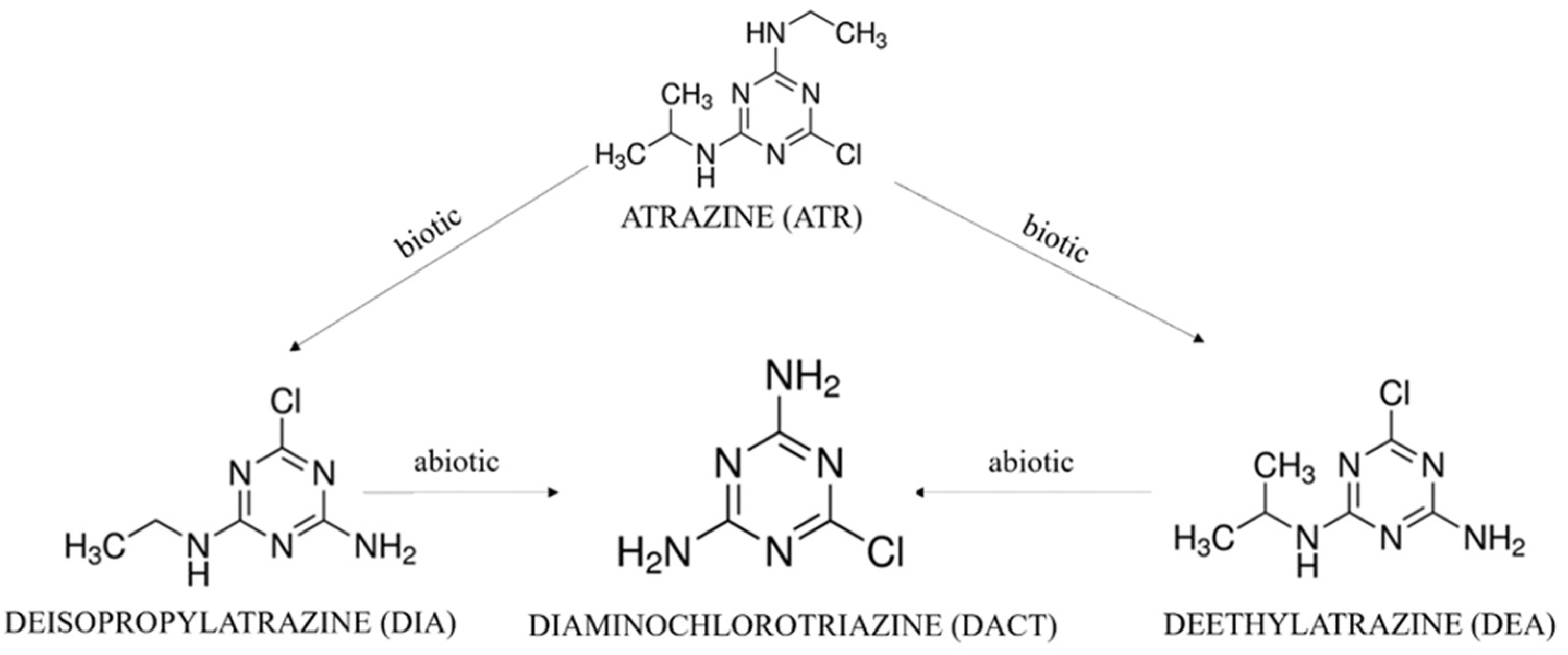 Molecules 27 05075 g001