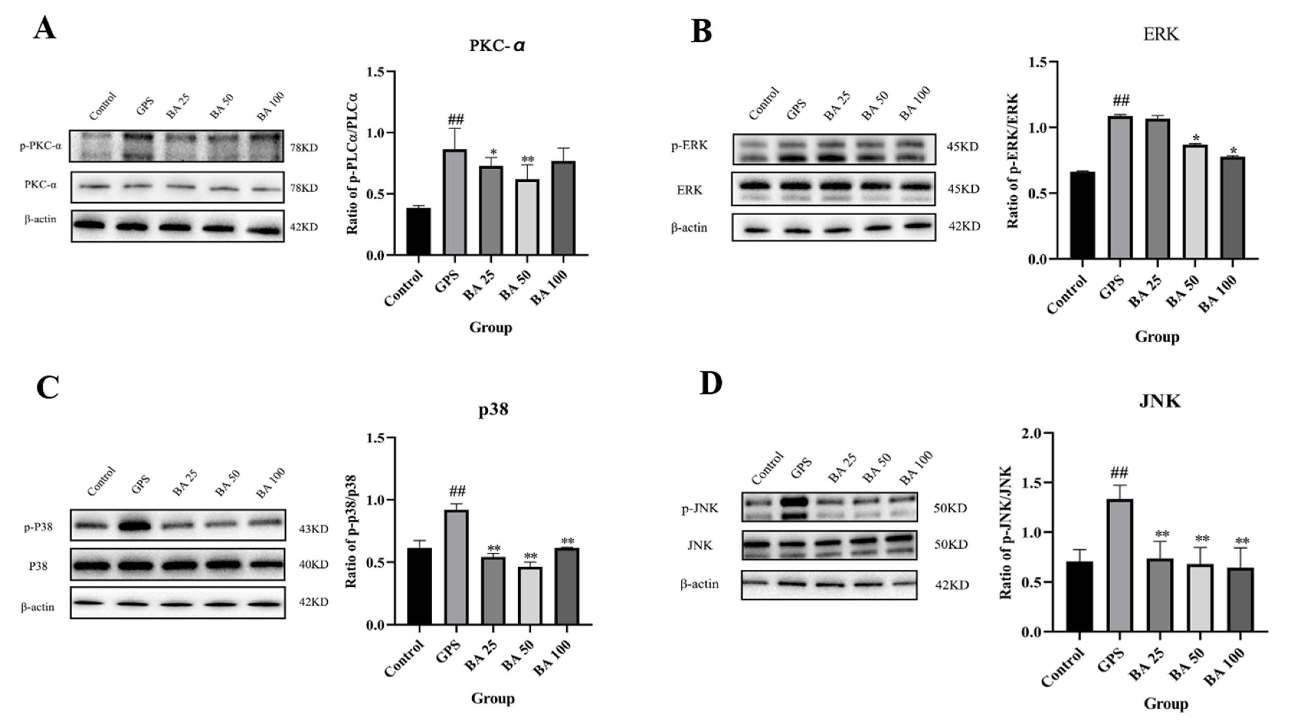 Molecules 27 05083 g003