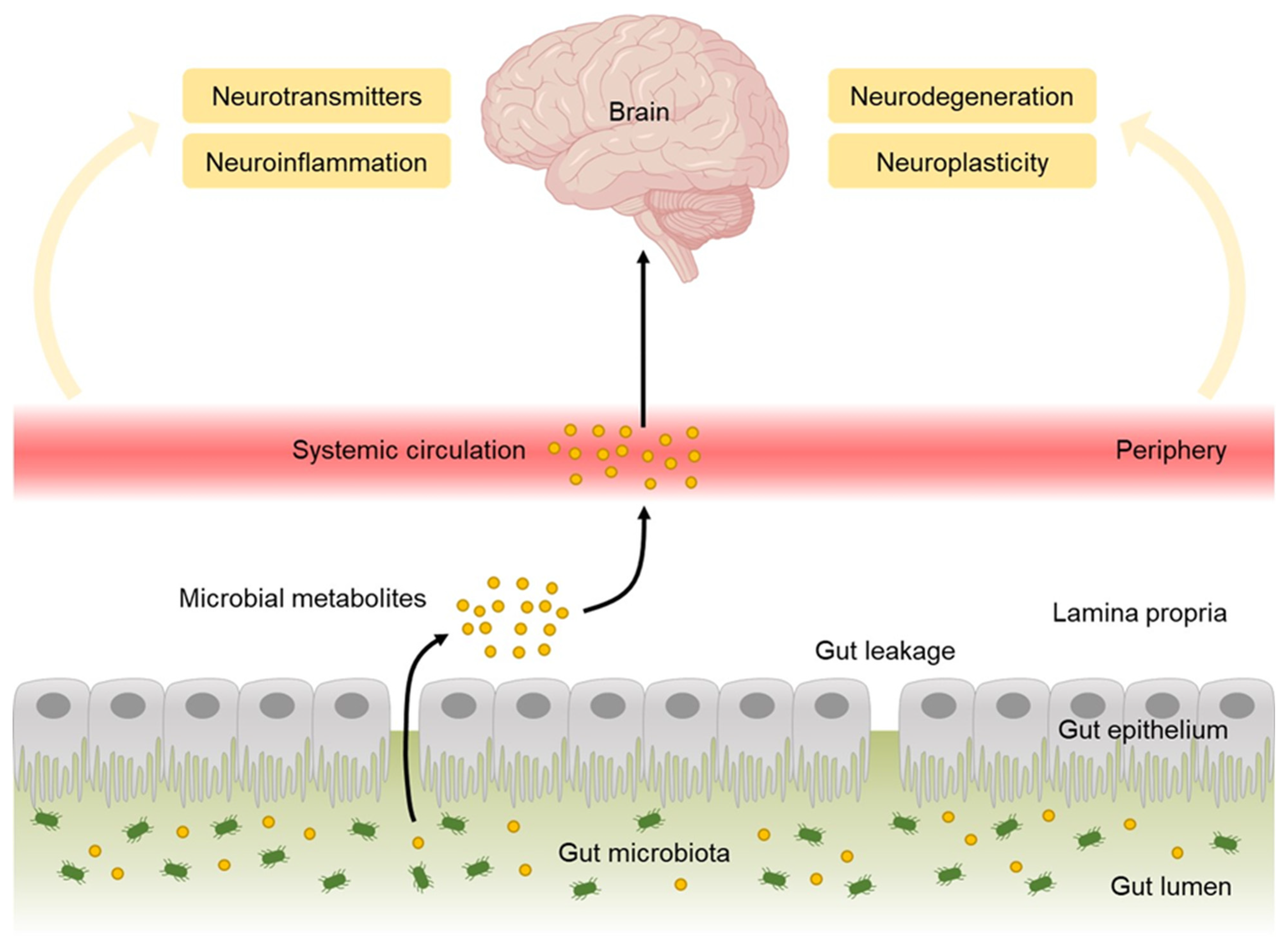 Molecules 27 05088 g002