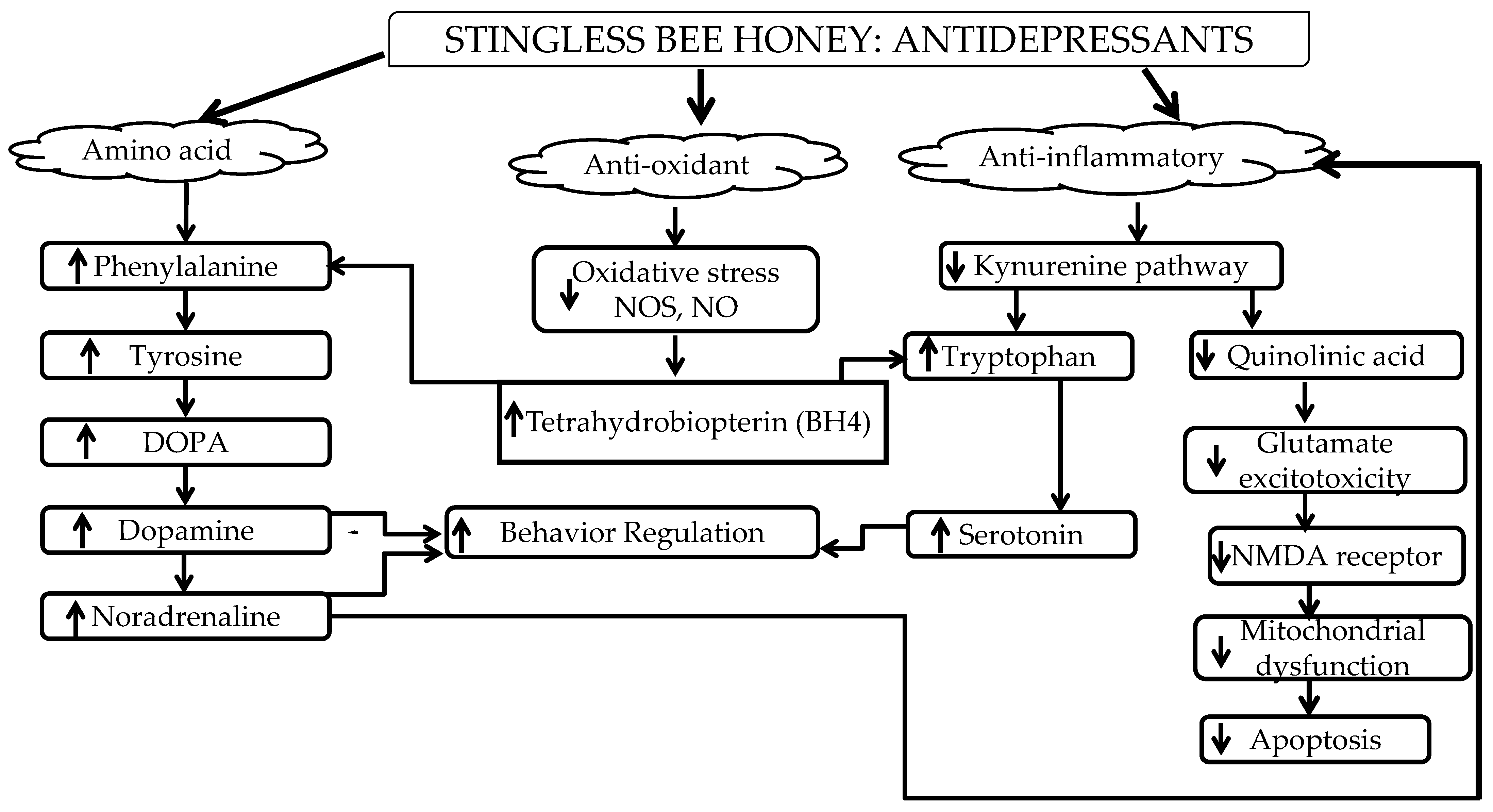 Molecules 27 05091 g002