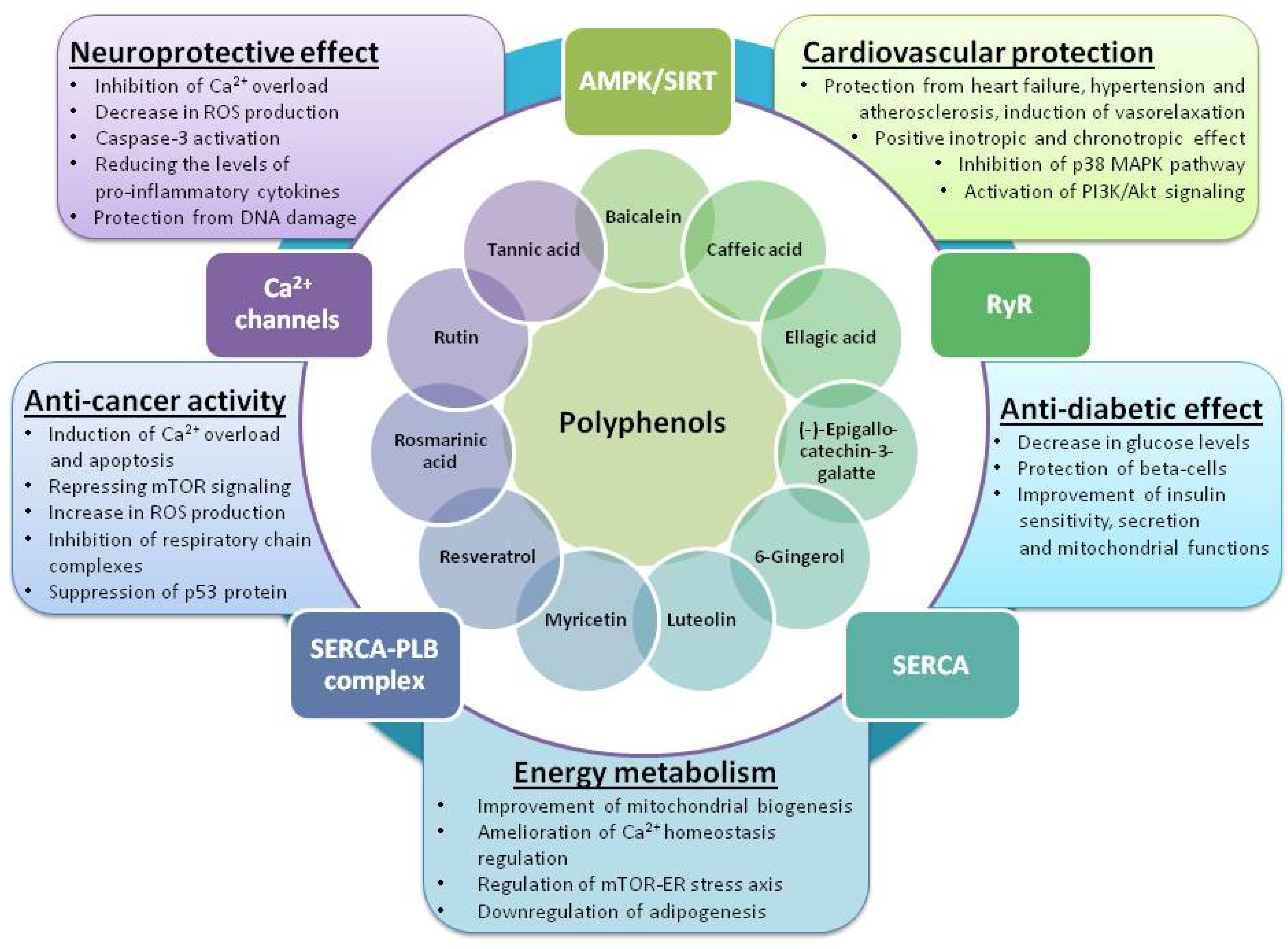Molecules 27 05095 g001 Molecules 27 05095 g001
