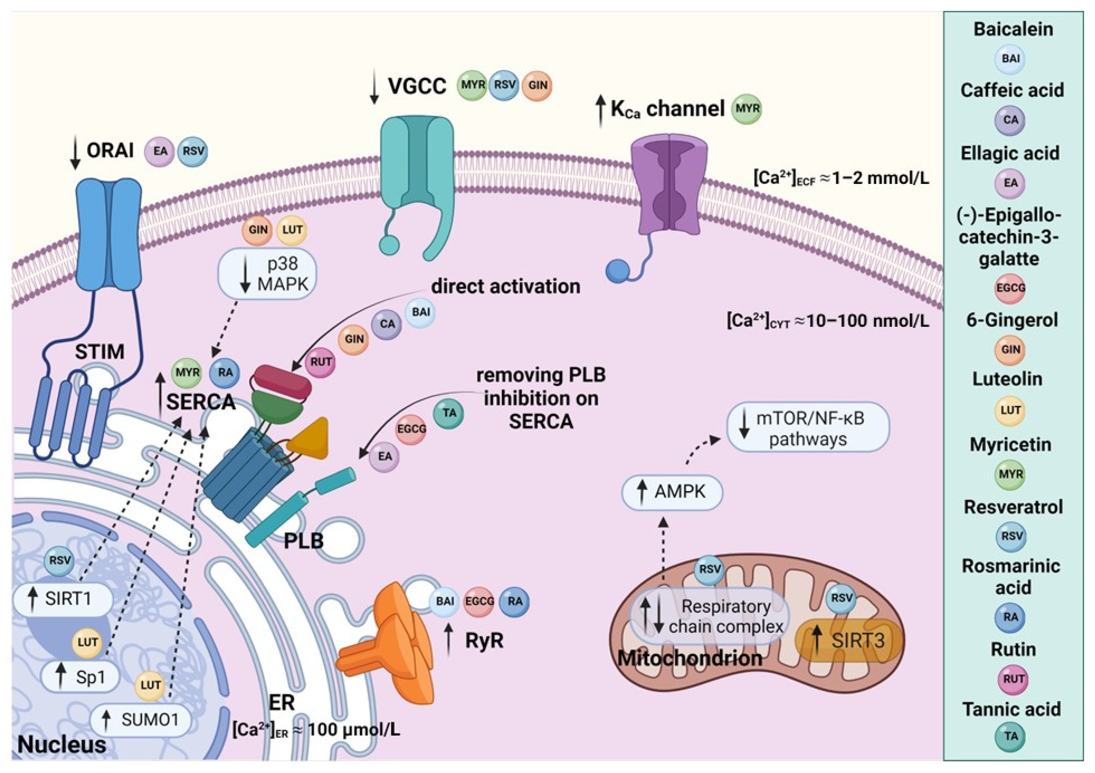 Molecules 27 05095 g002 Molecules 27 05095 g002