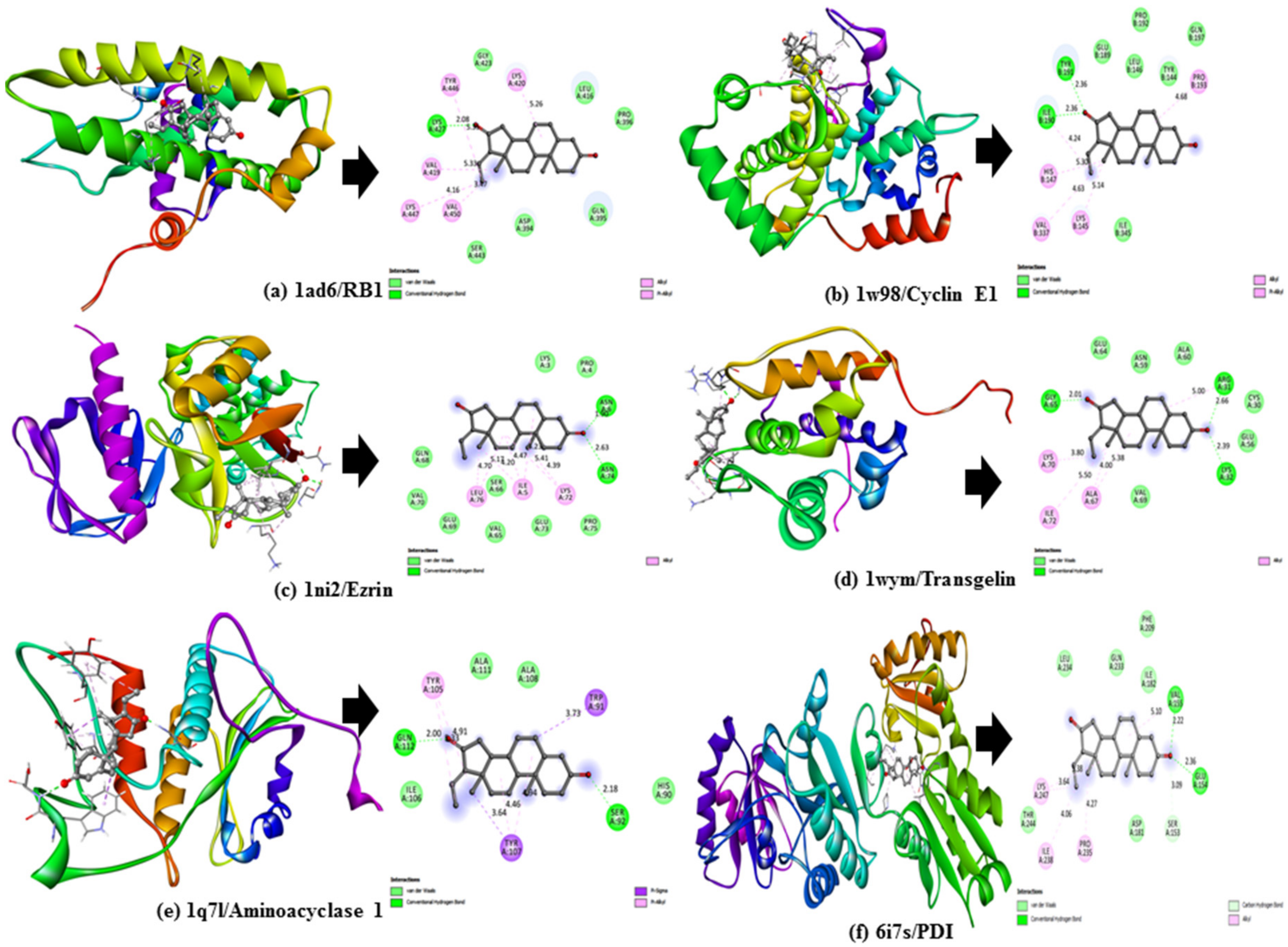 Molecules 27 05104 g001
