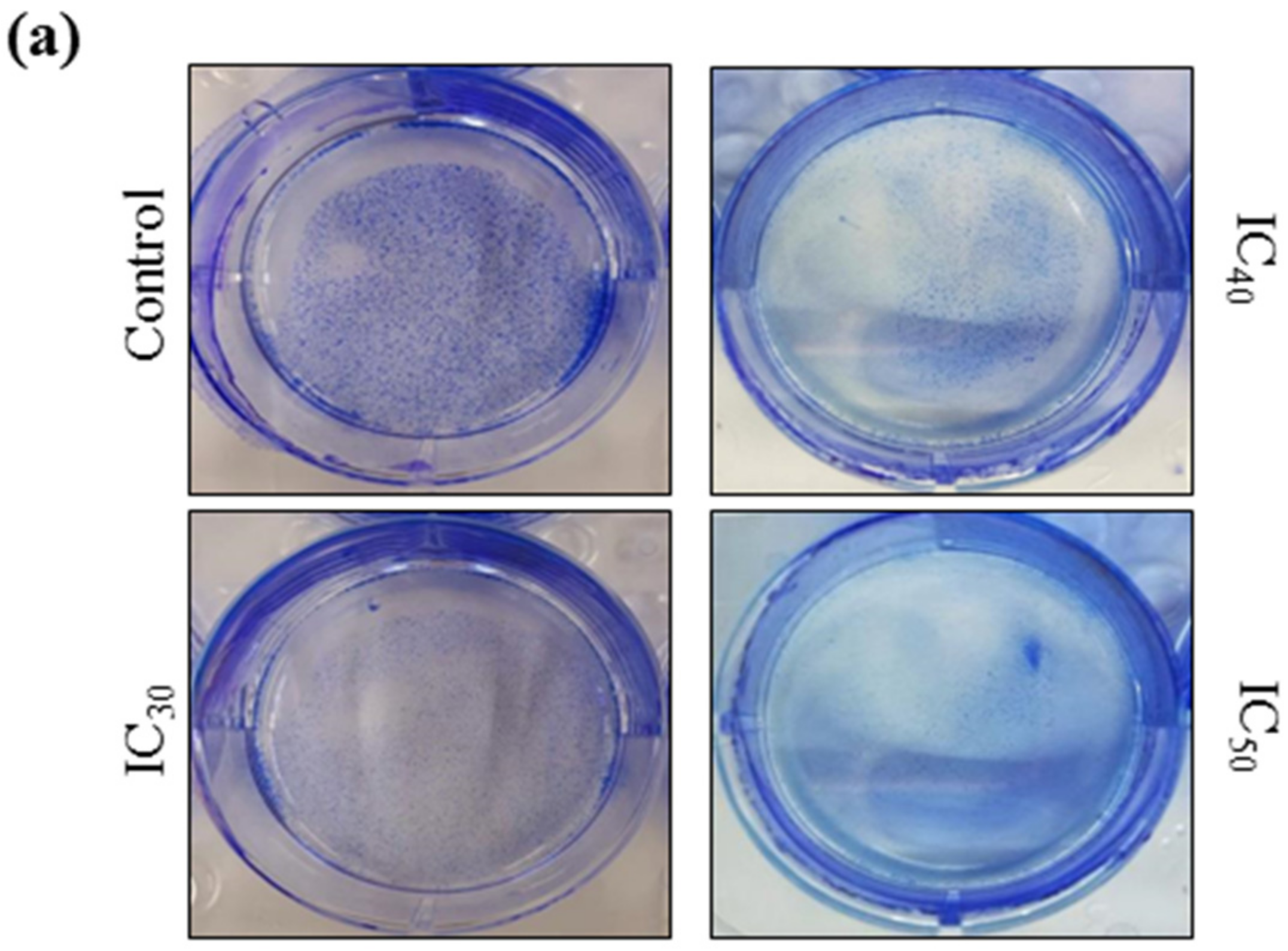 Molecules 27 05104 g008a
