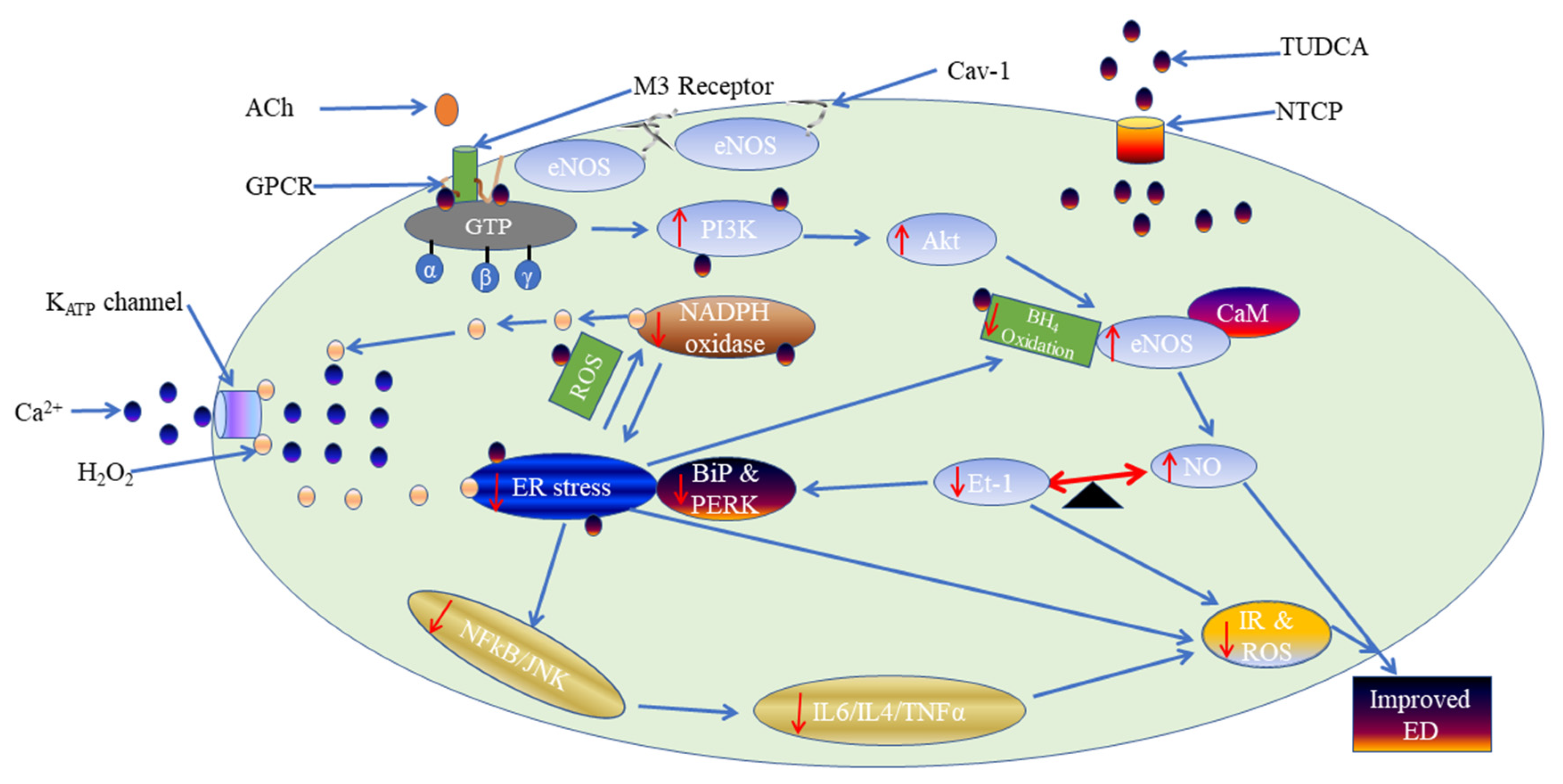 Molecules 27 05107 g007