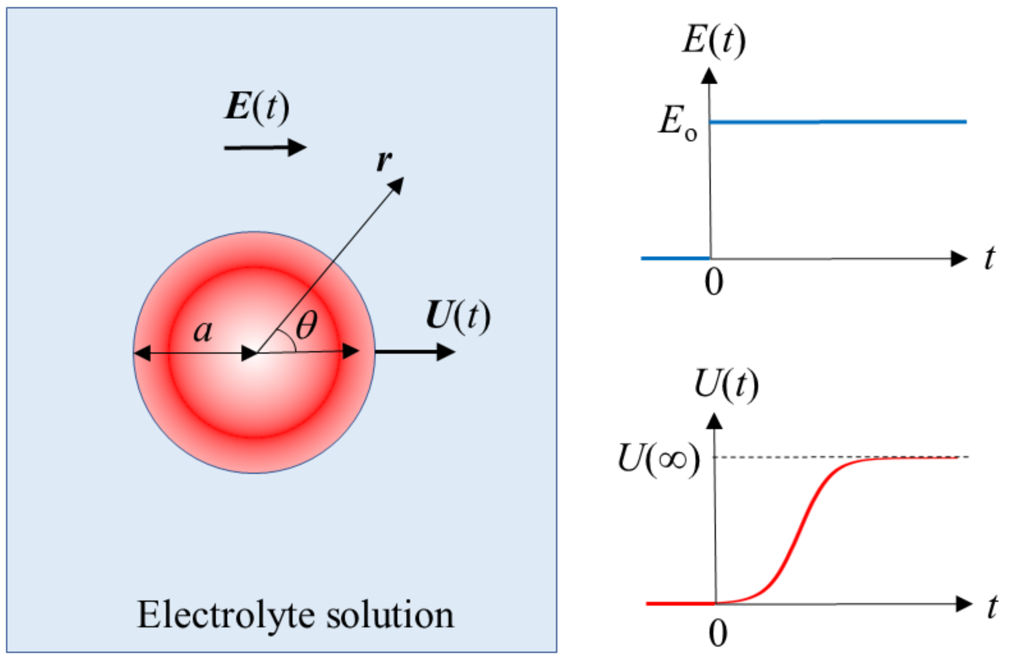 Molecules 27 05108 g001