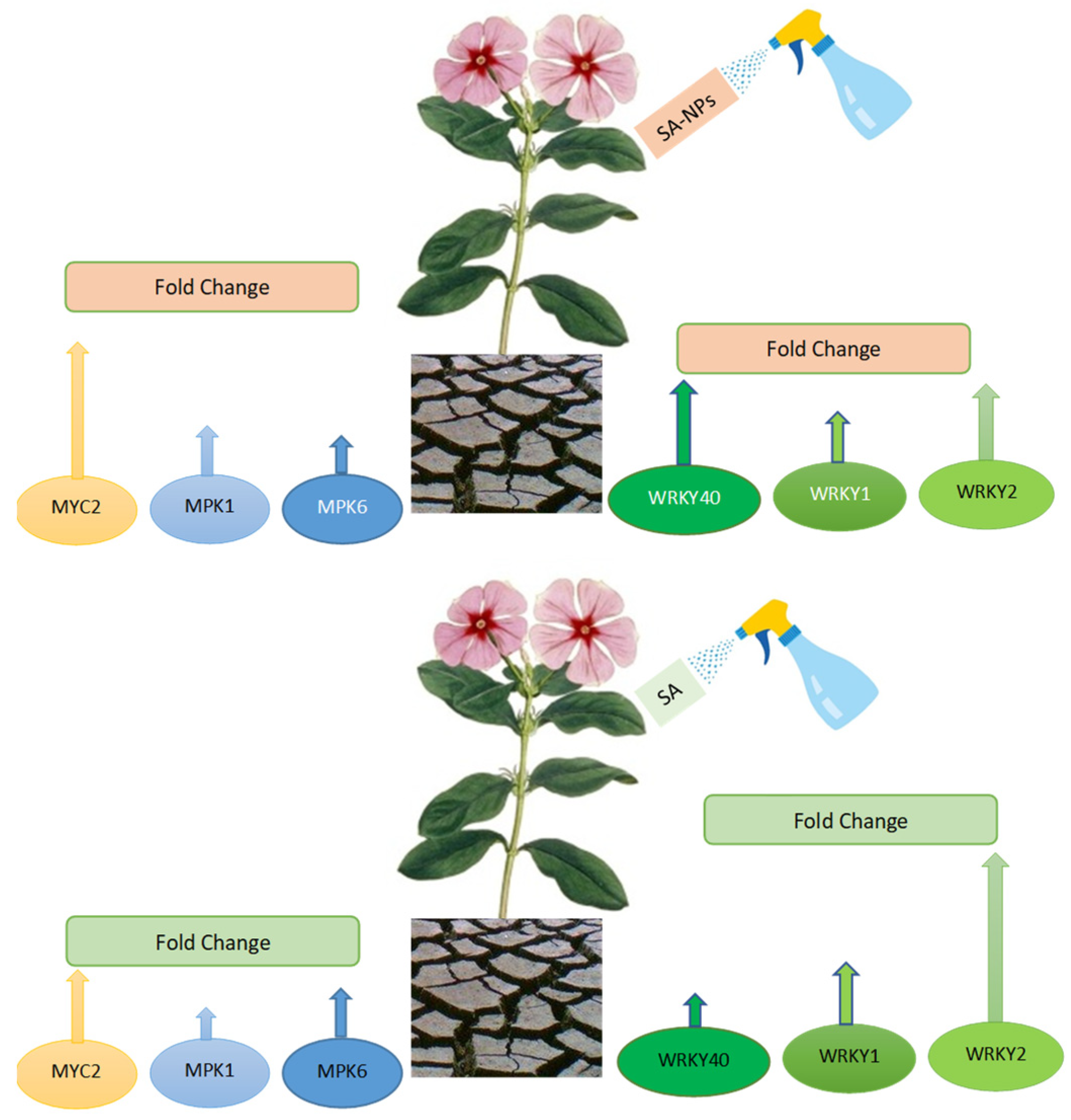Molecules 27 05112 g006