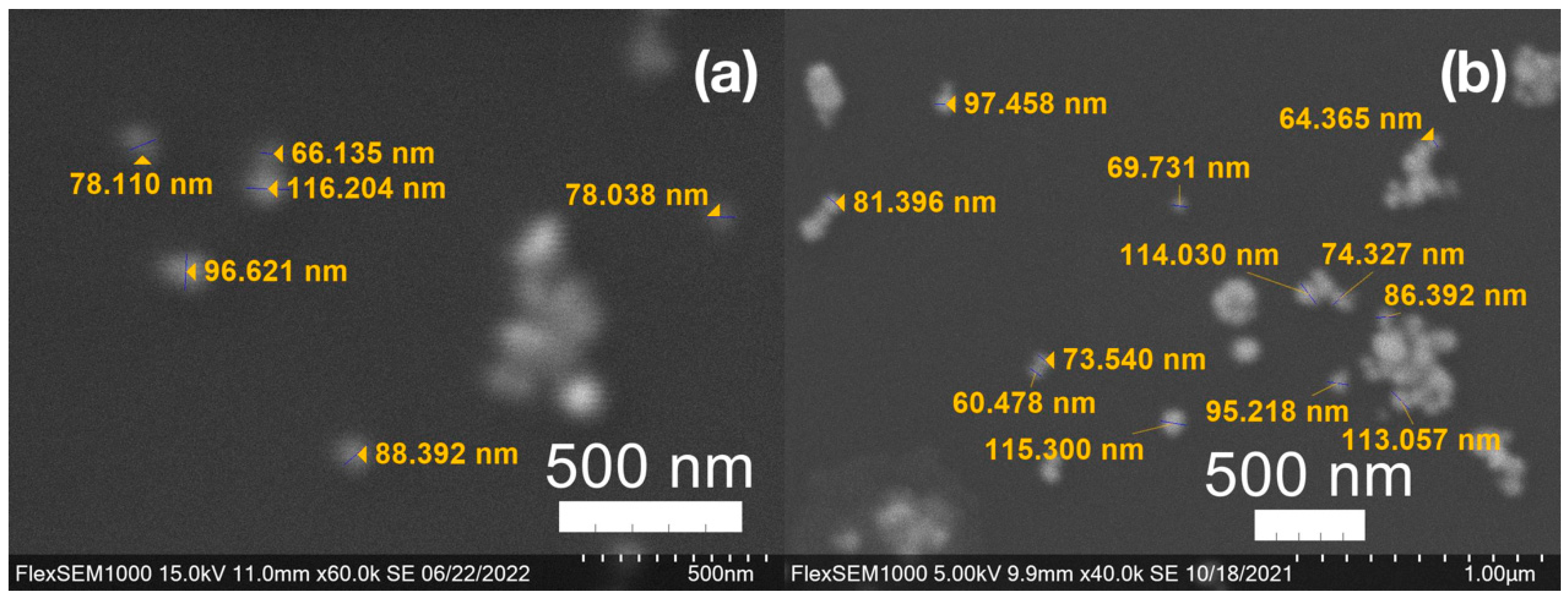 Molecules 27 05124 g007