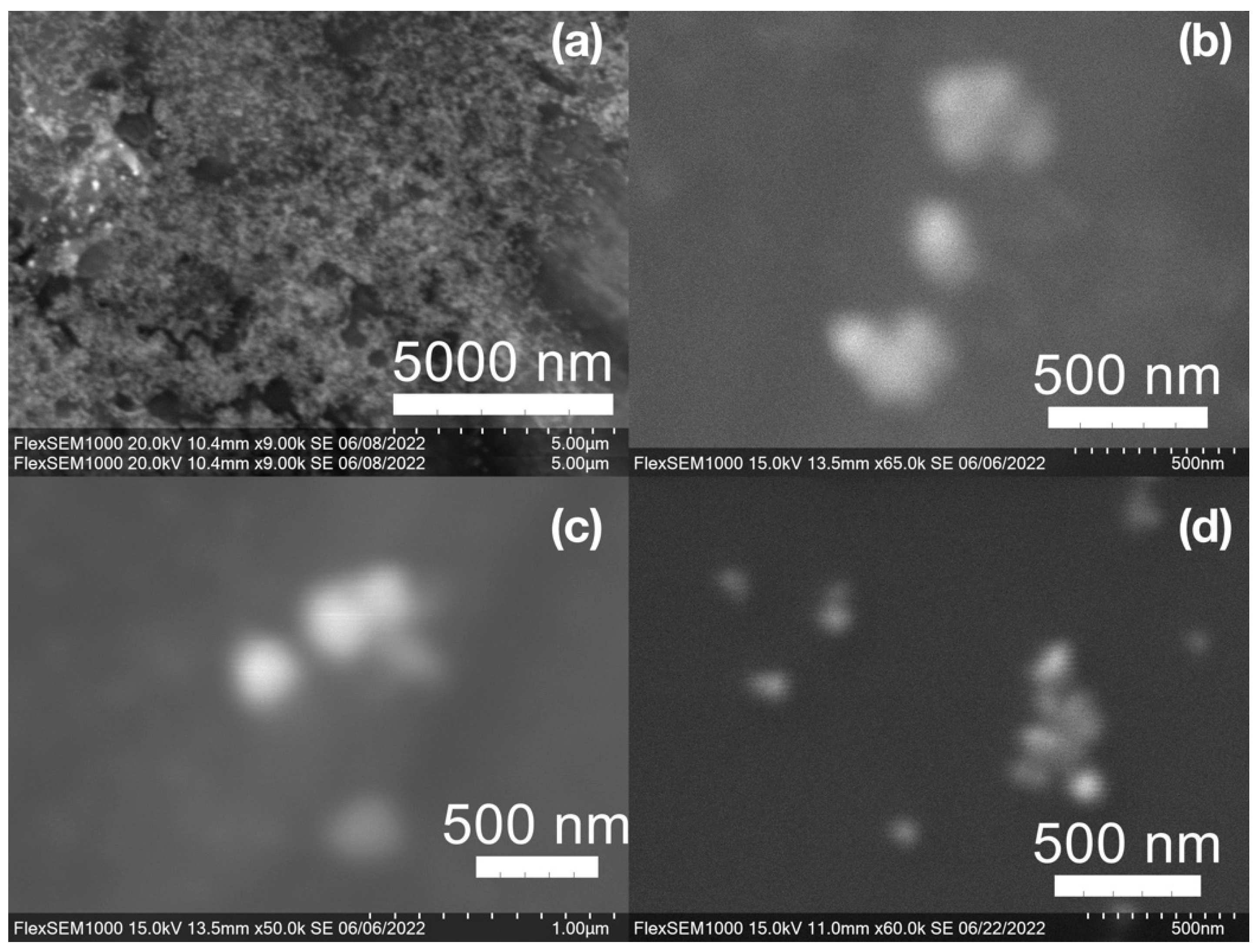Molecules 27 05124 g008