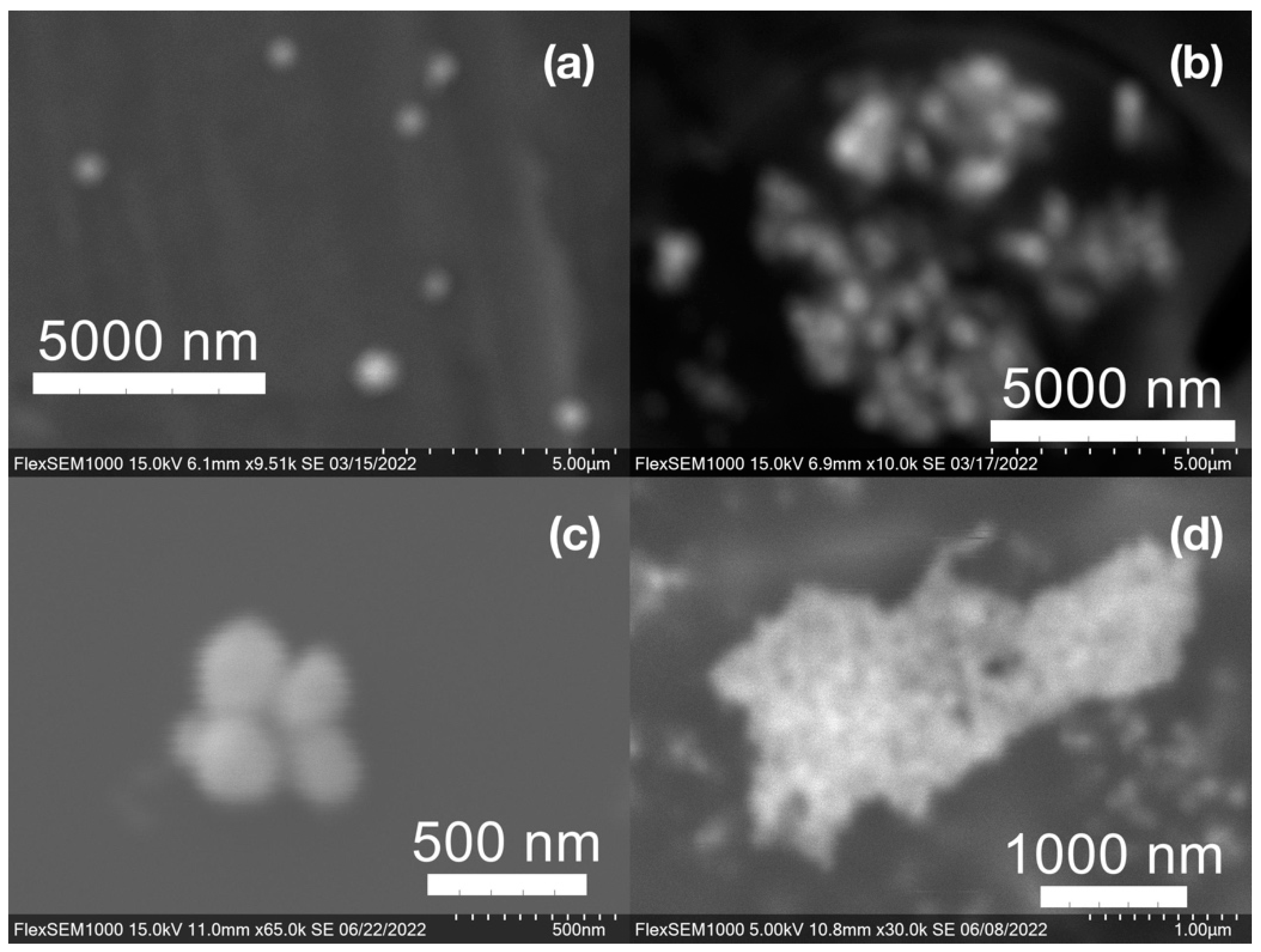 Molecules 27 05124 g009