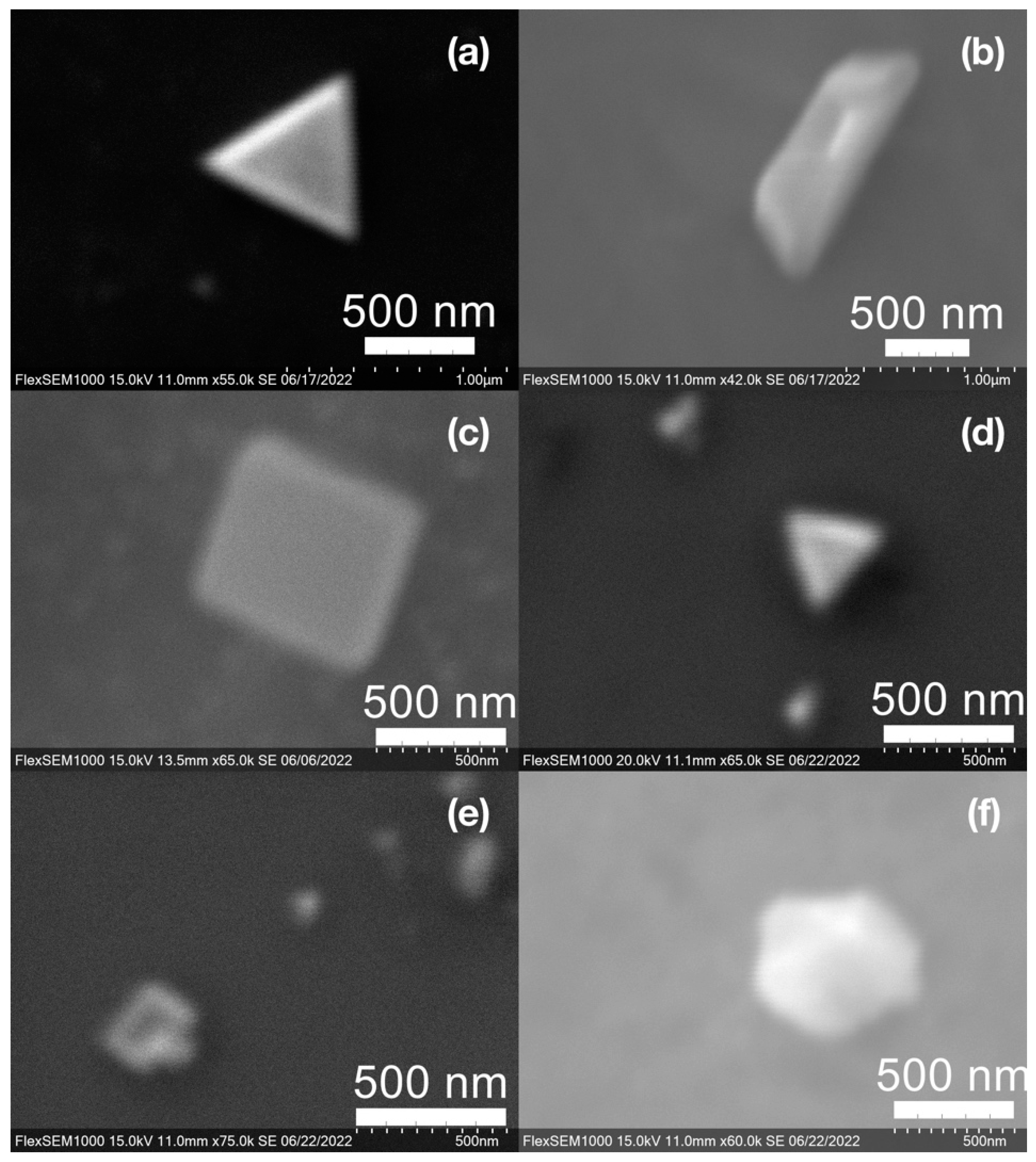 Molecules 27 05124 g011