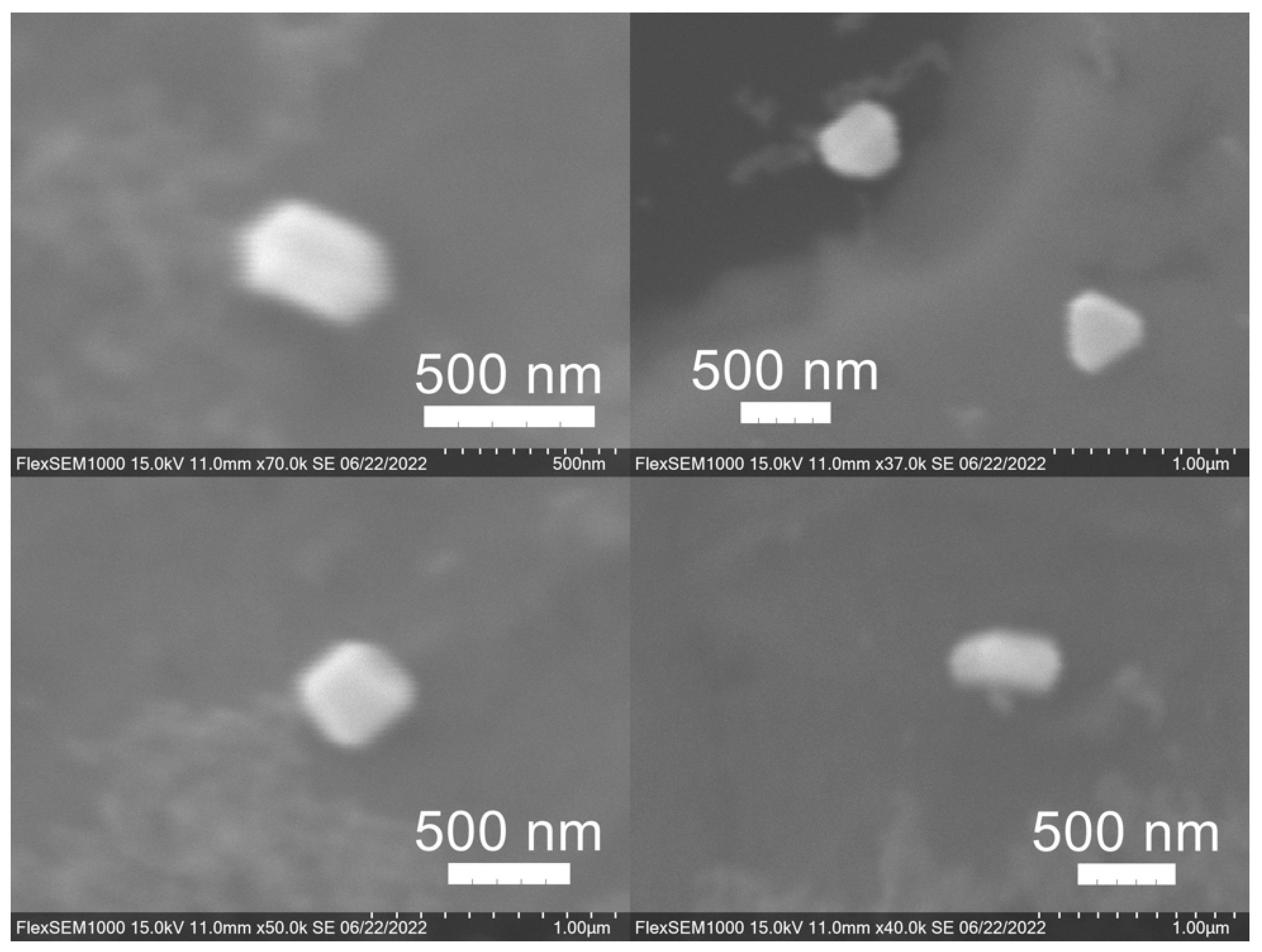 Molecules 27 05124 g012