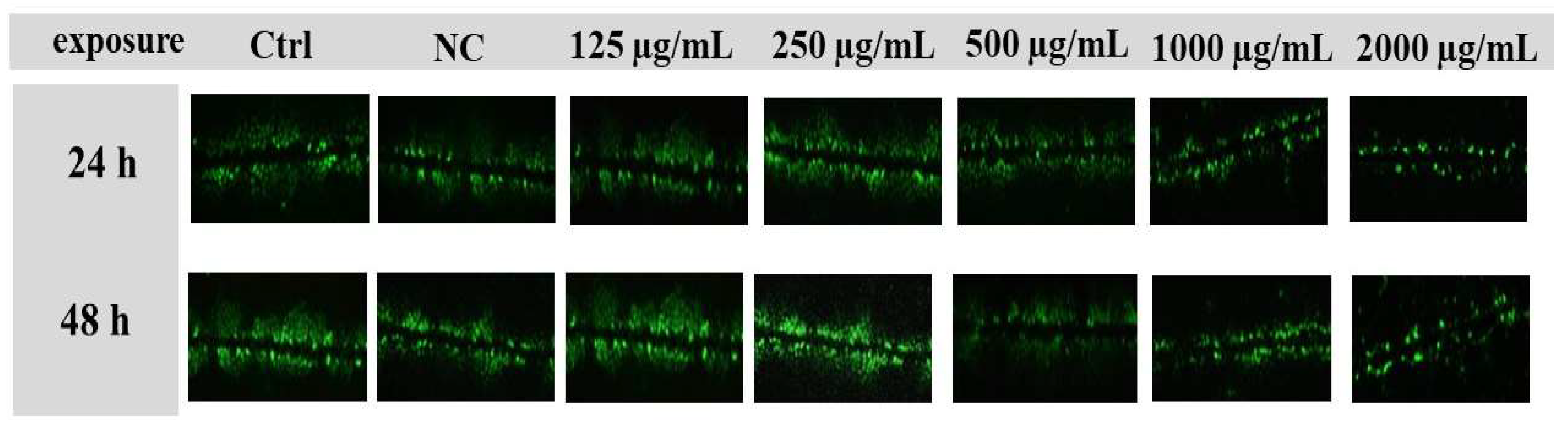 Molecules 27 05127 g008