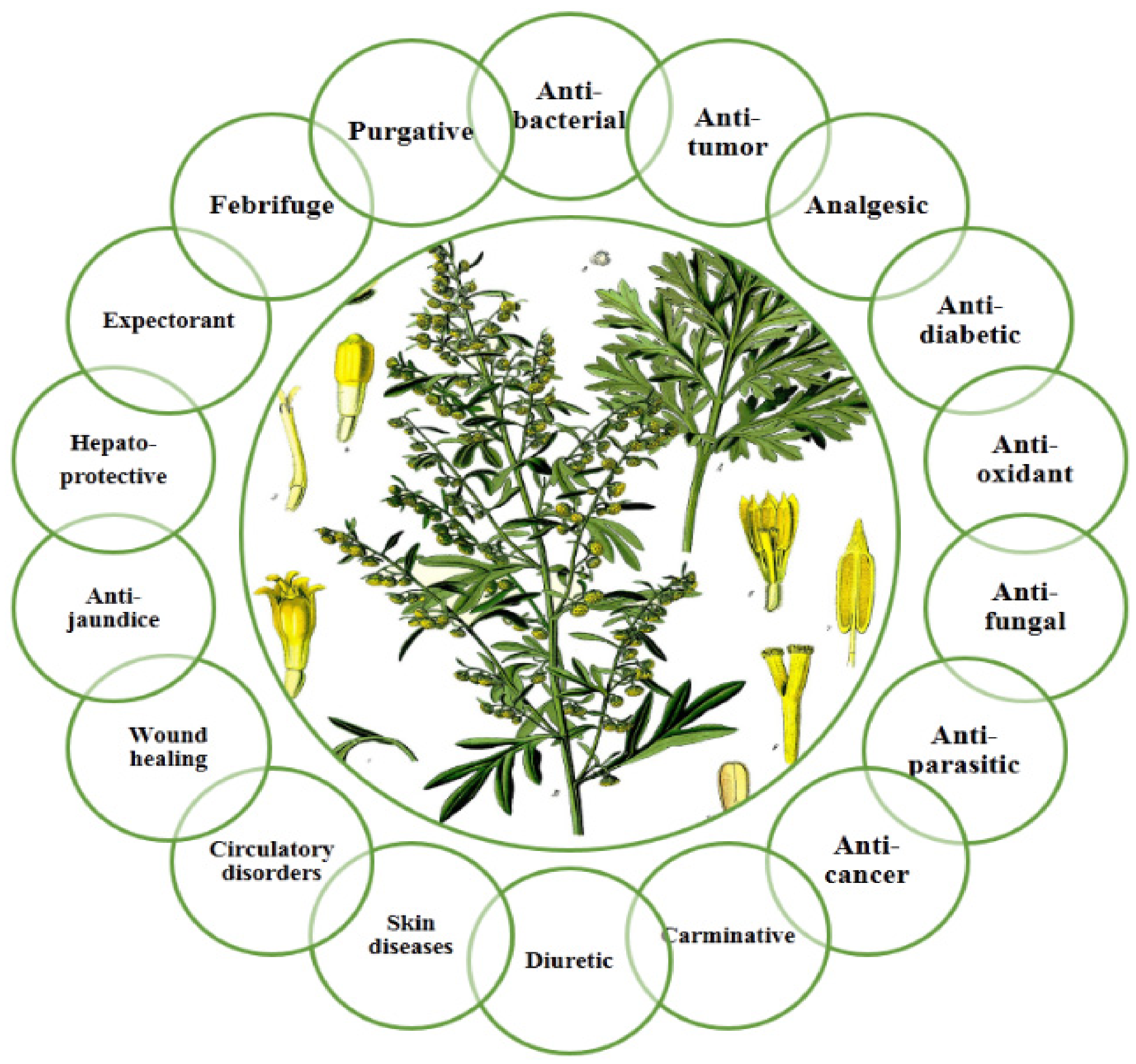 Molecules 27 05128 g001