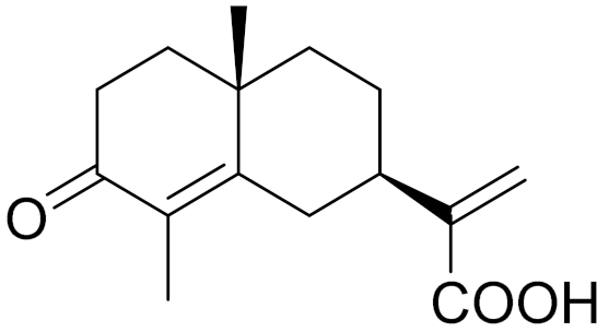 Molecules 27 05128 i054 Molecules 27 05128 i054