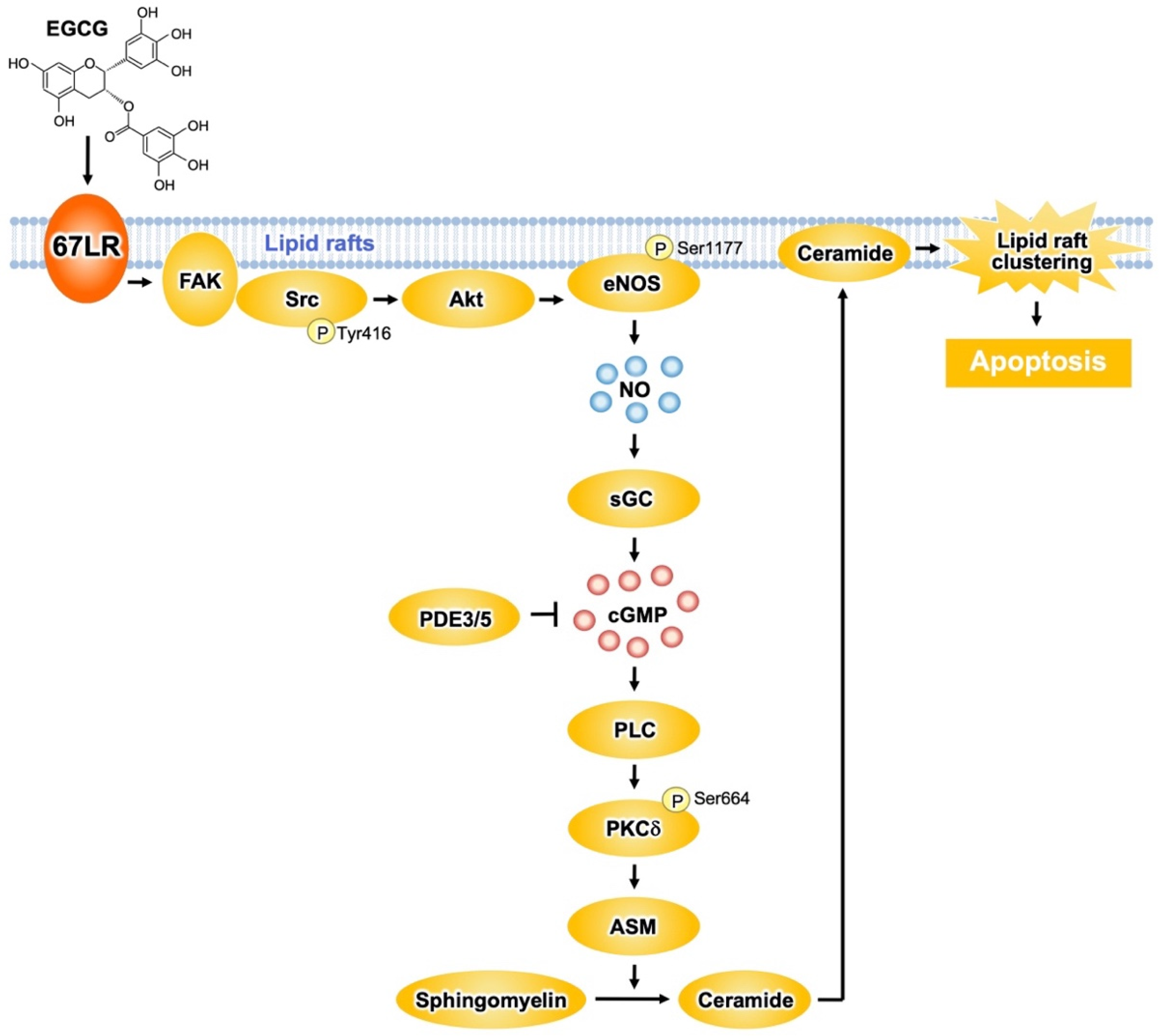 Molecules 27 05130 g003