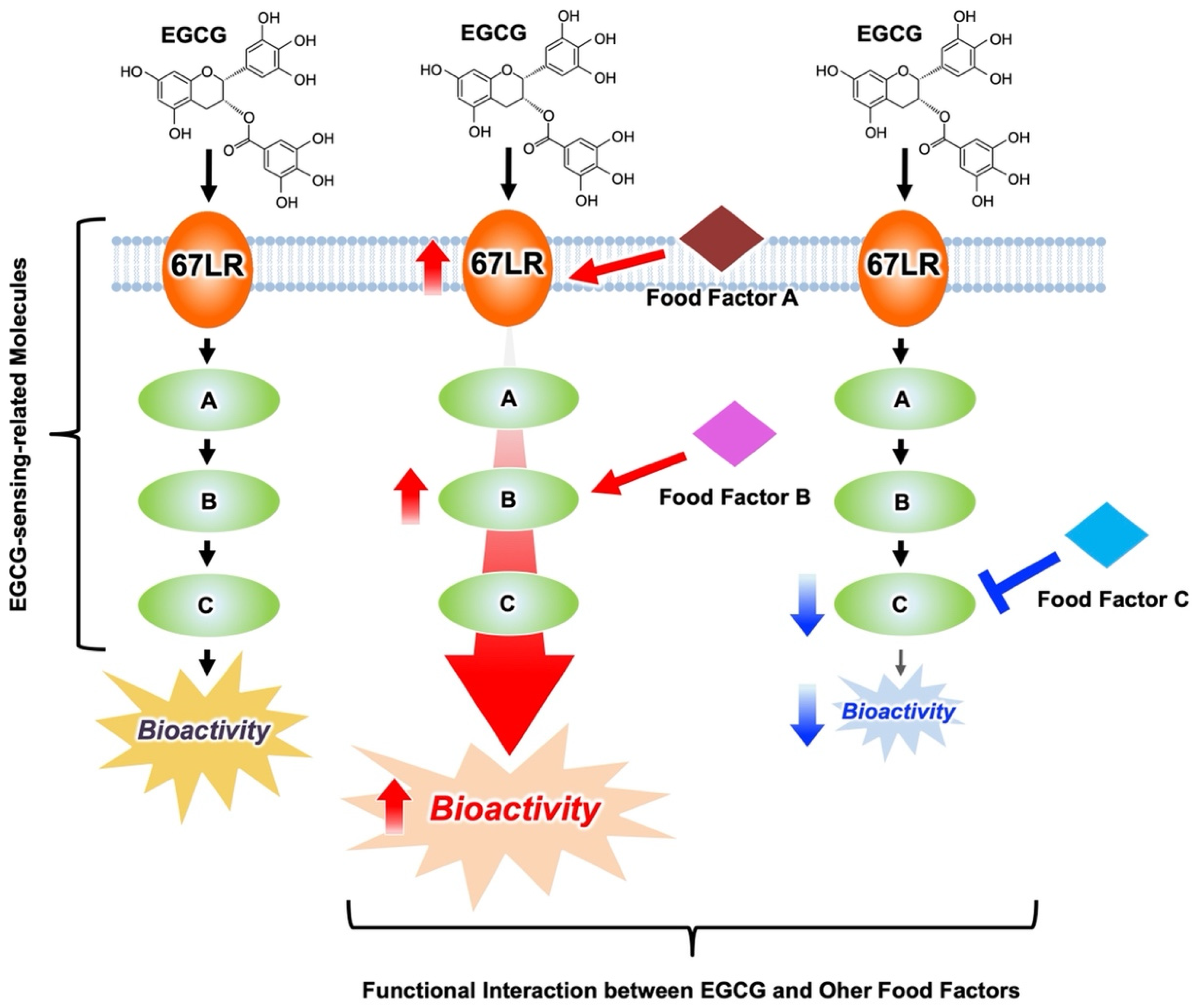 Molecules 27 05130 g005