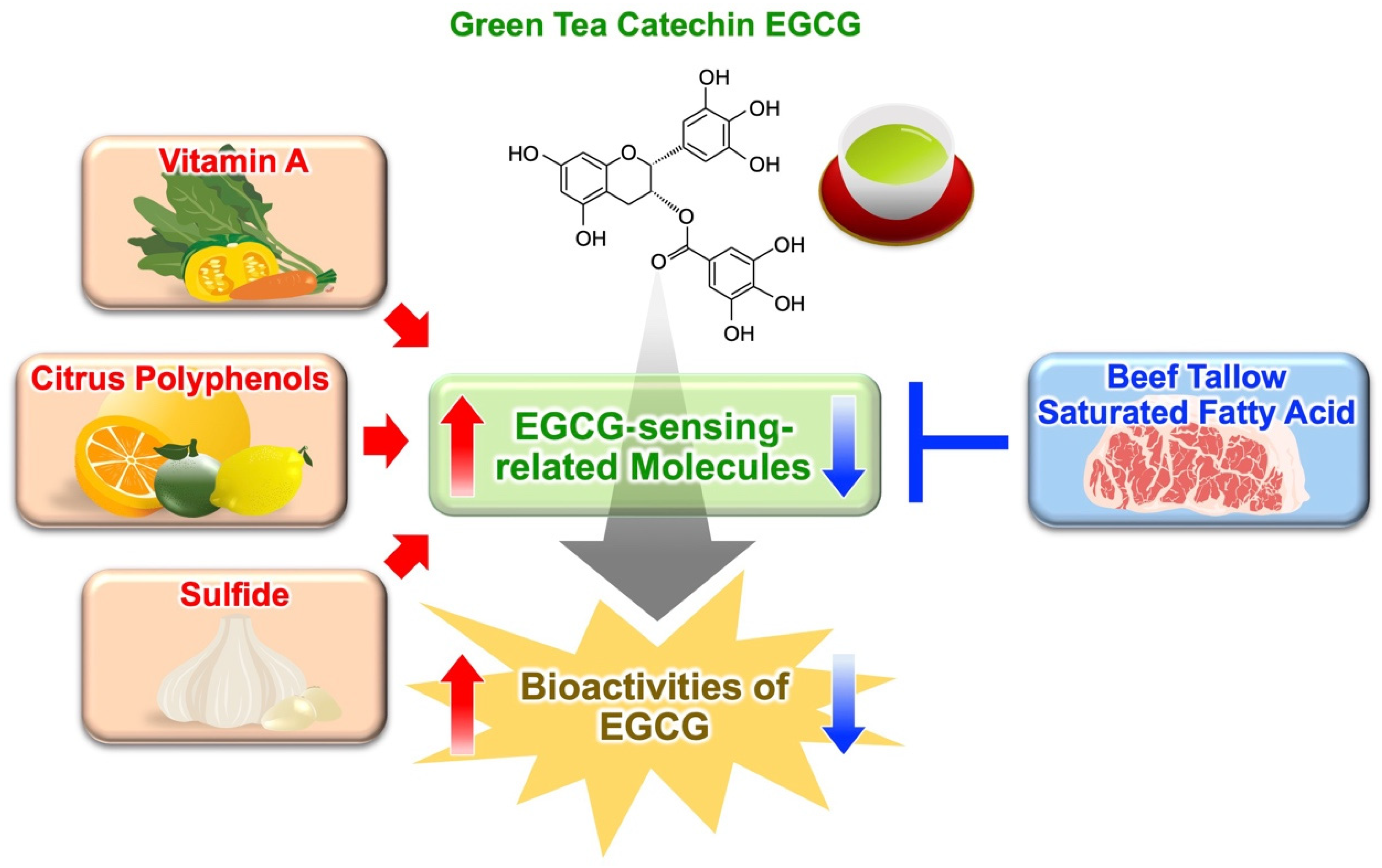 Molecules 27 05130 g007