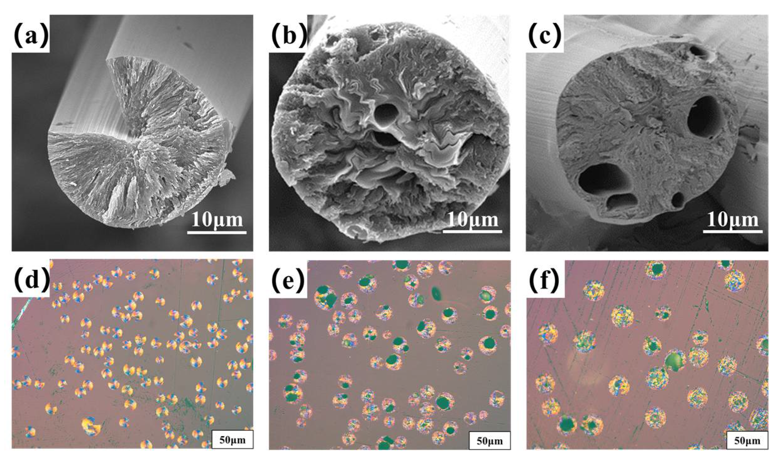 Molecules 27 05132 g004