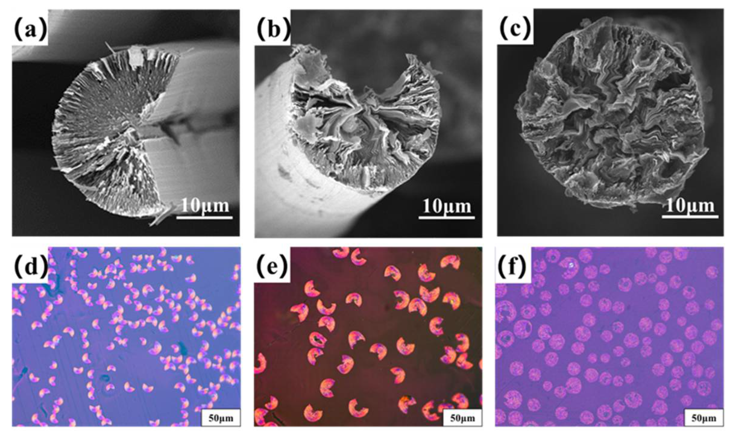 Molecules 27 05132 g006