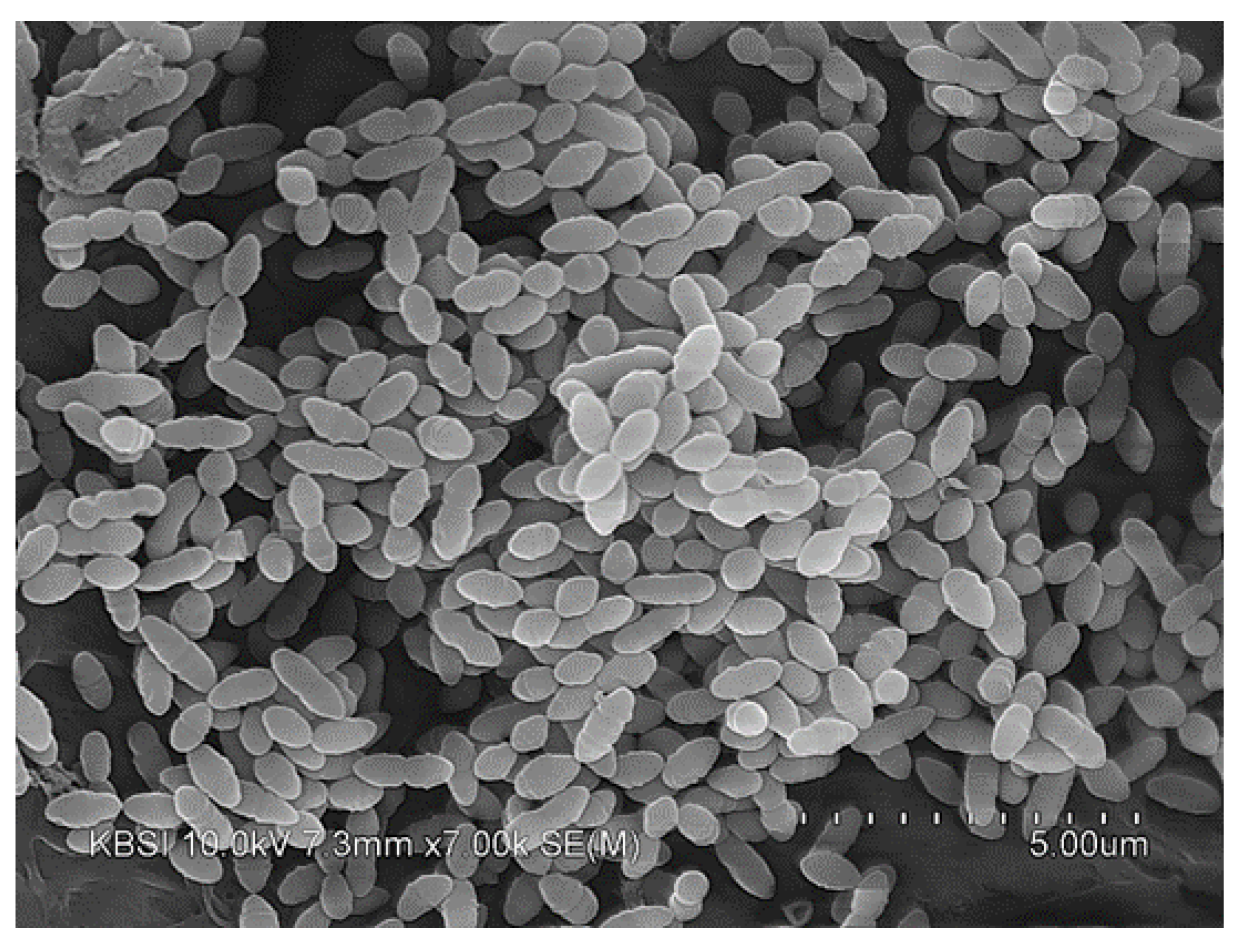 Molecules 27 05136 g007