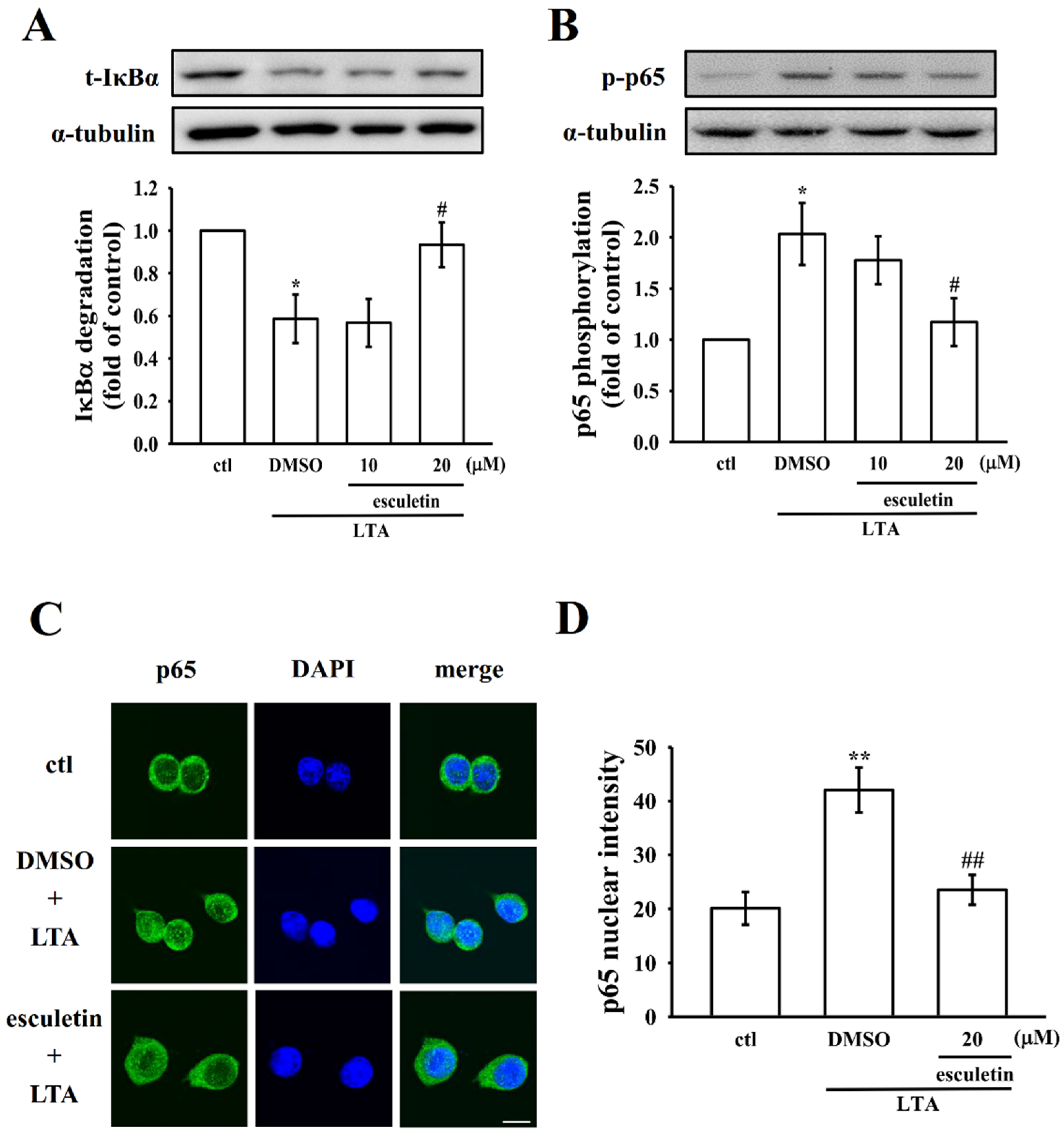 Molecules 27 05143 g004
