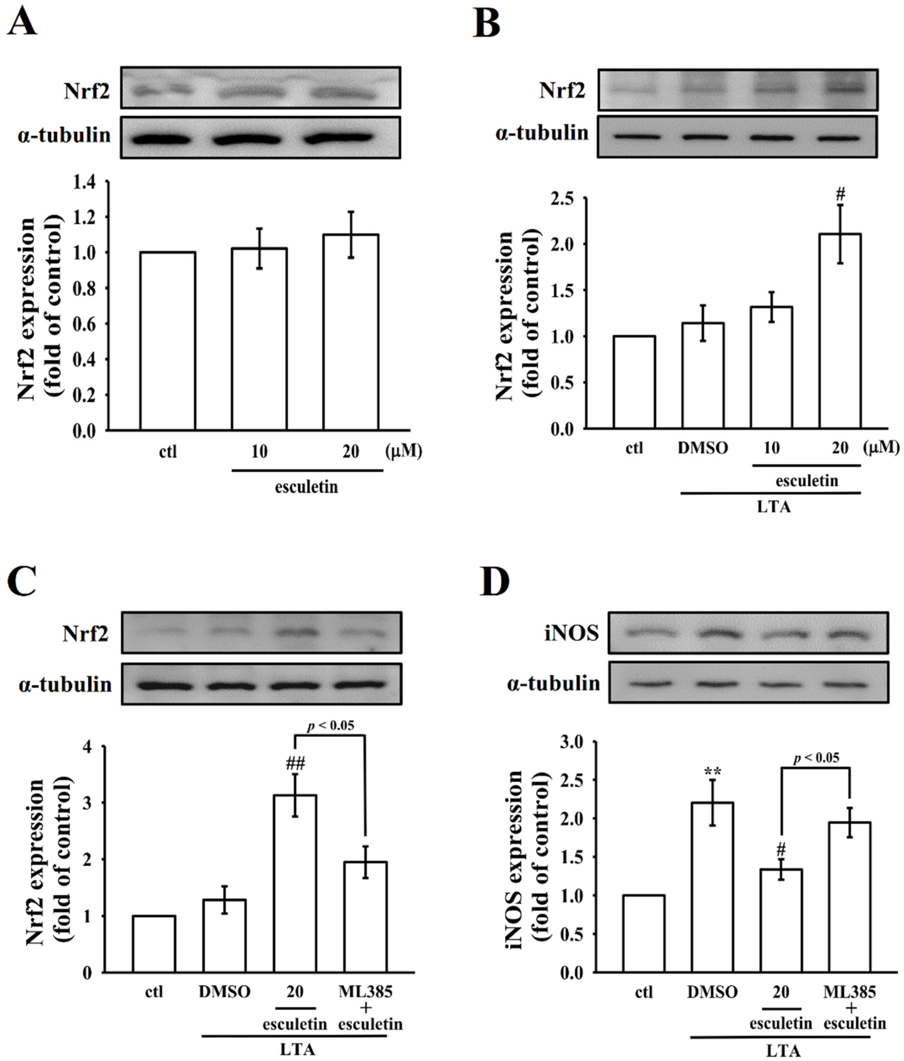 Molecules 27 05143 g005